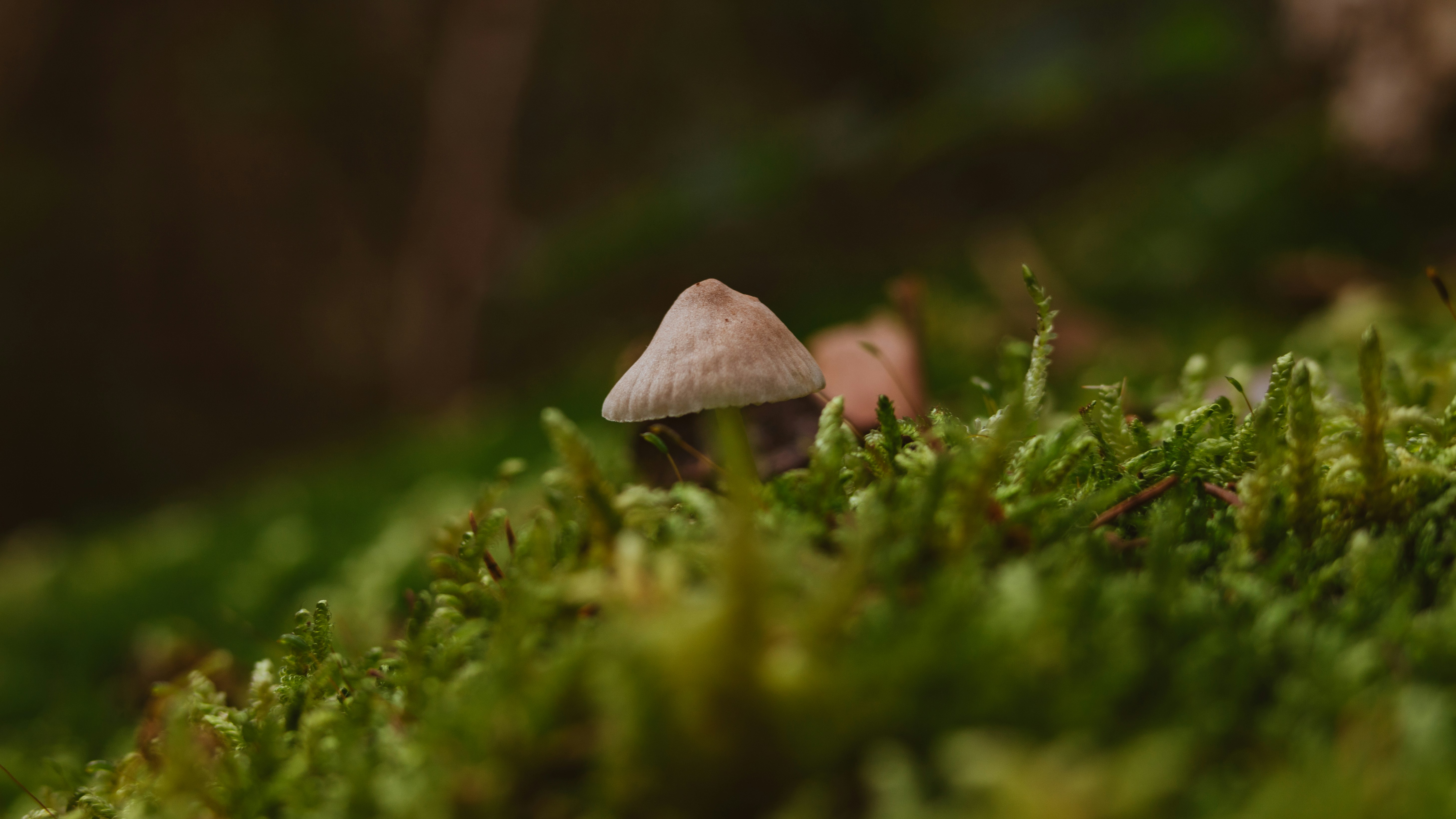 Photo by shutter_speed_