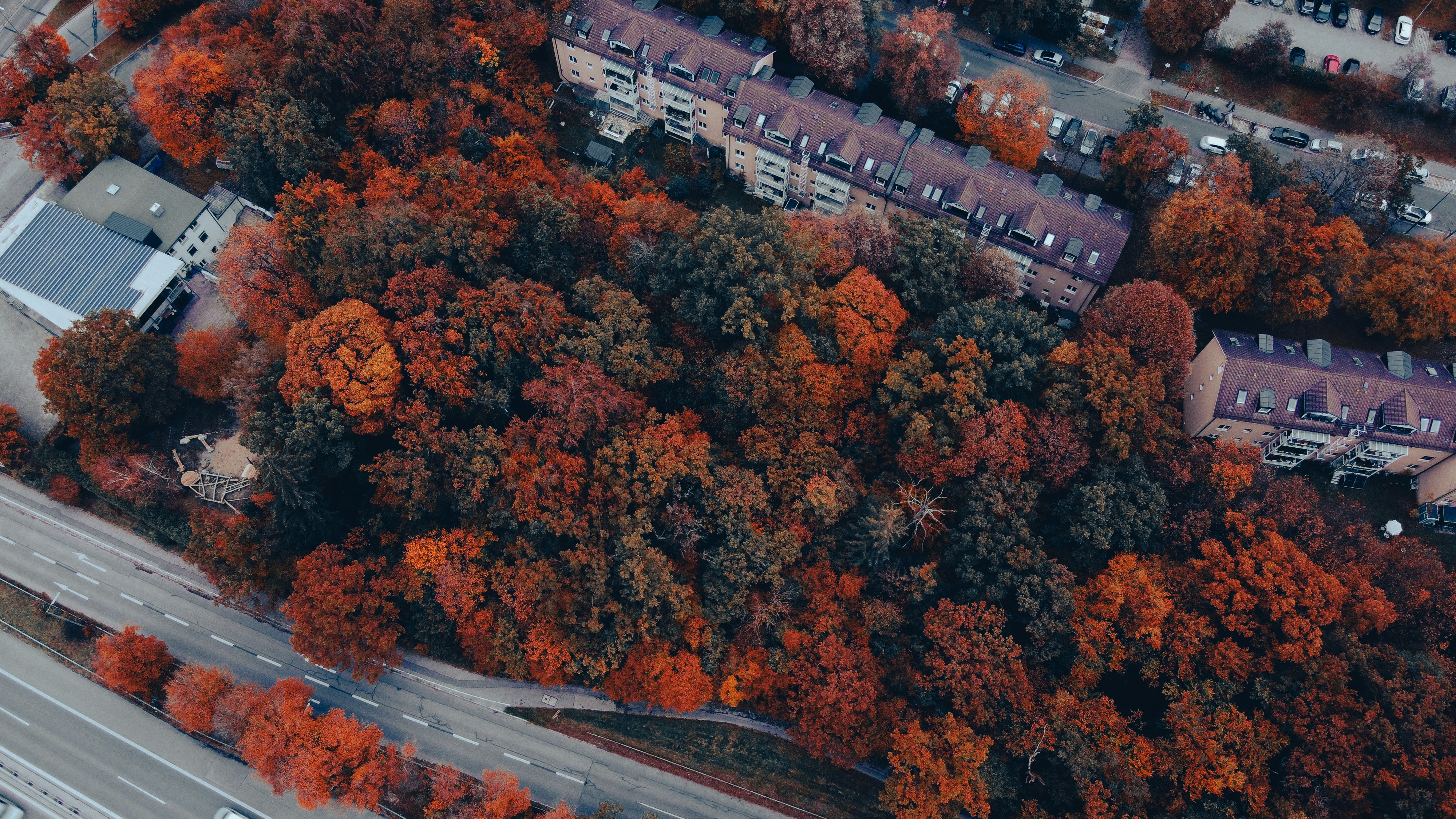 Photo by shutter_speed_