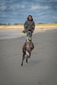 A dog standing on its hind legs on a beach