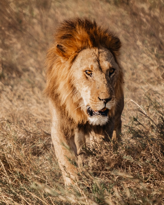 Nairobi, Kenya
