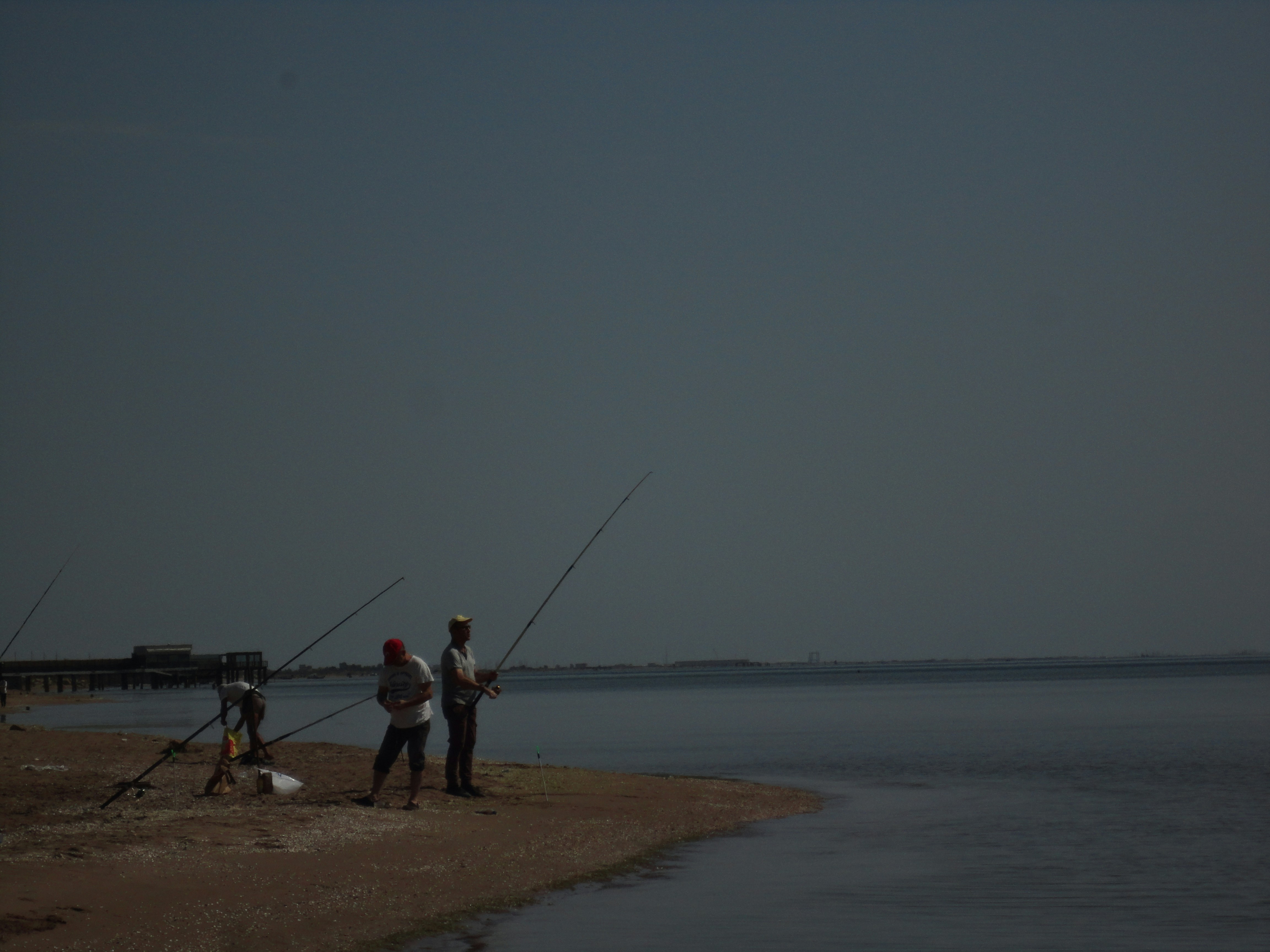 Photo by mortuusluna