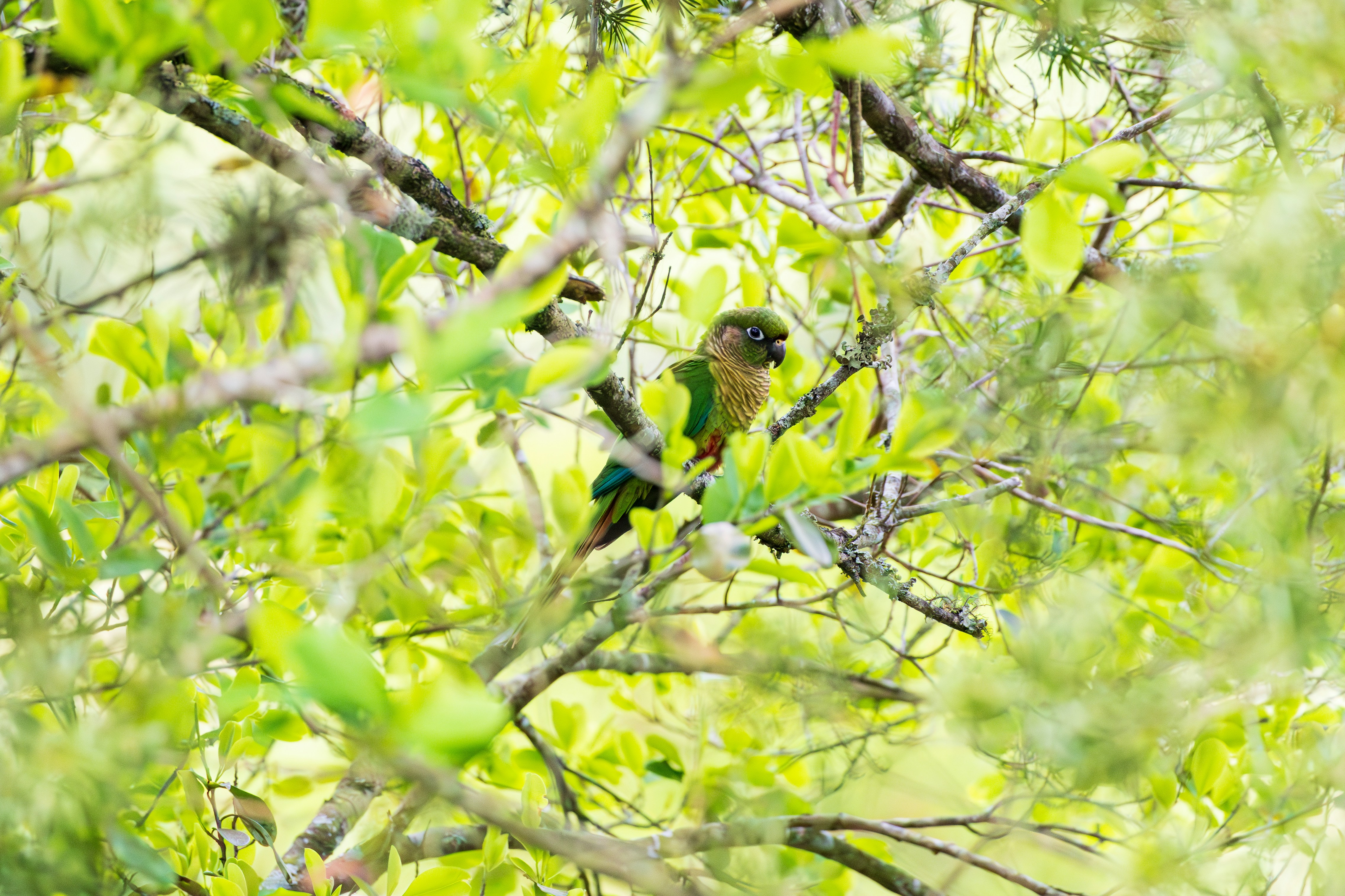 Photo by matheuskprot