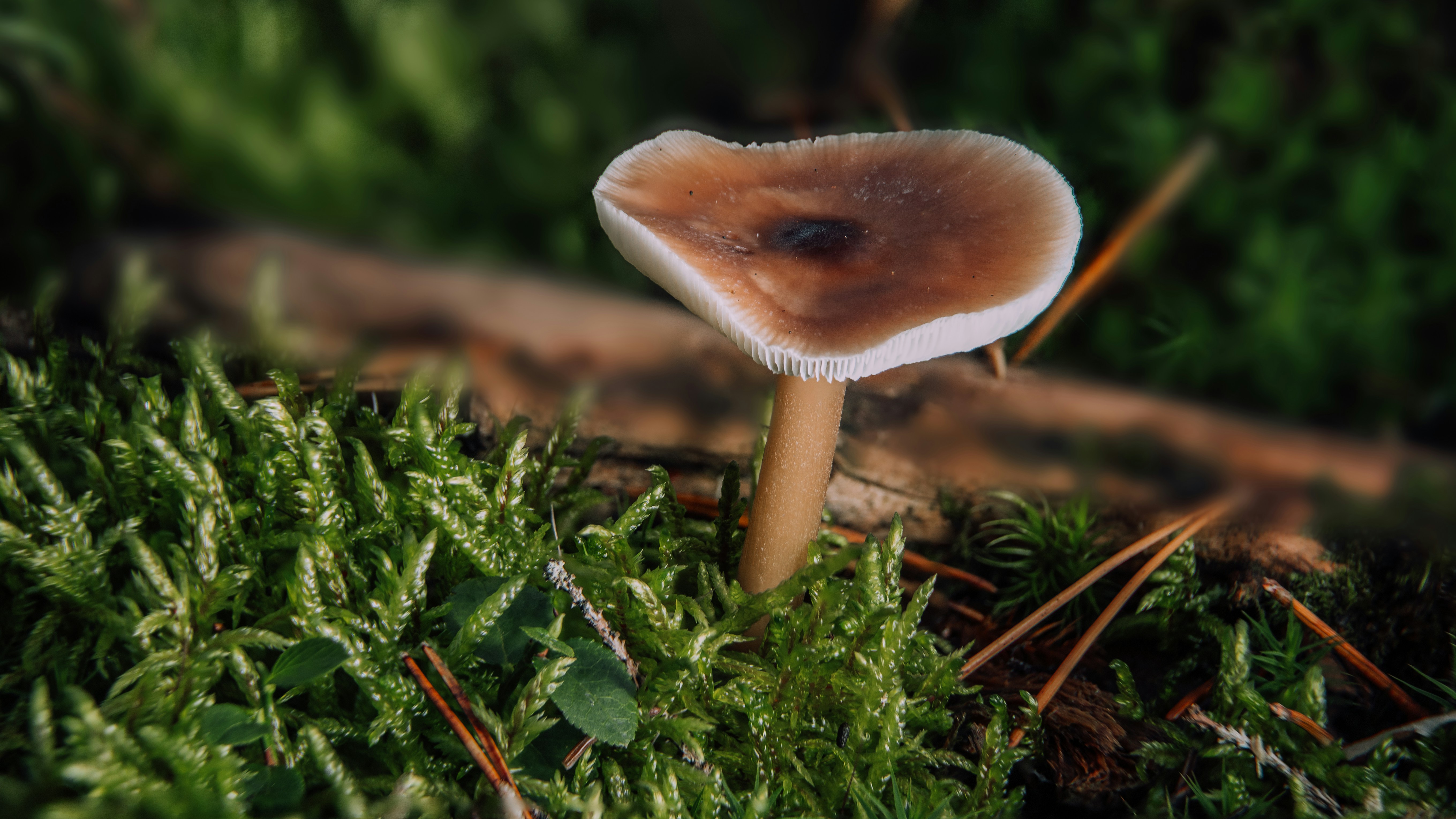 Photo by shutter_speed_