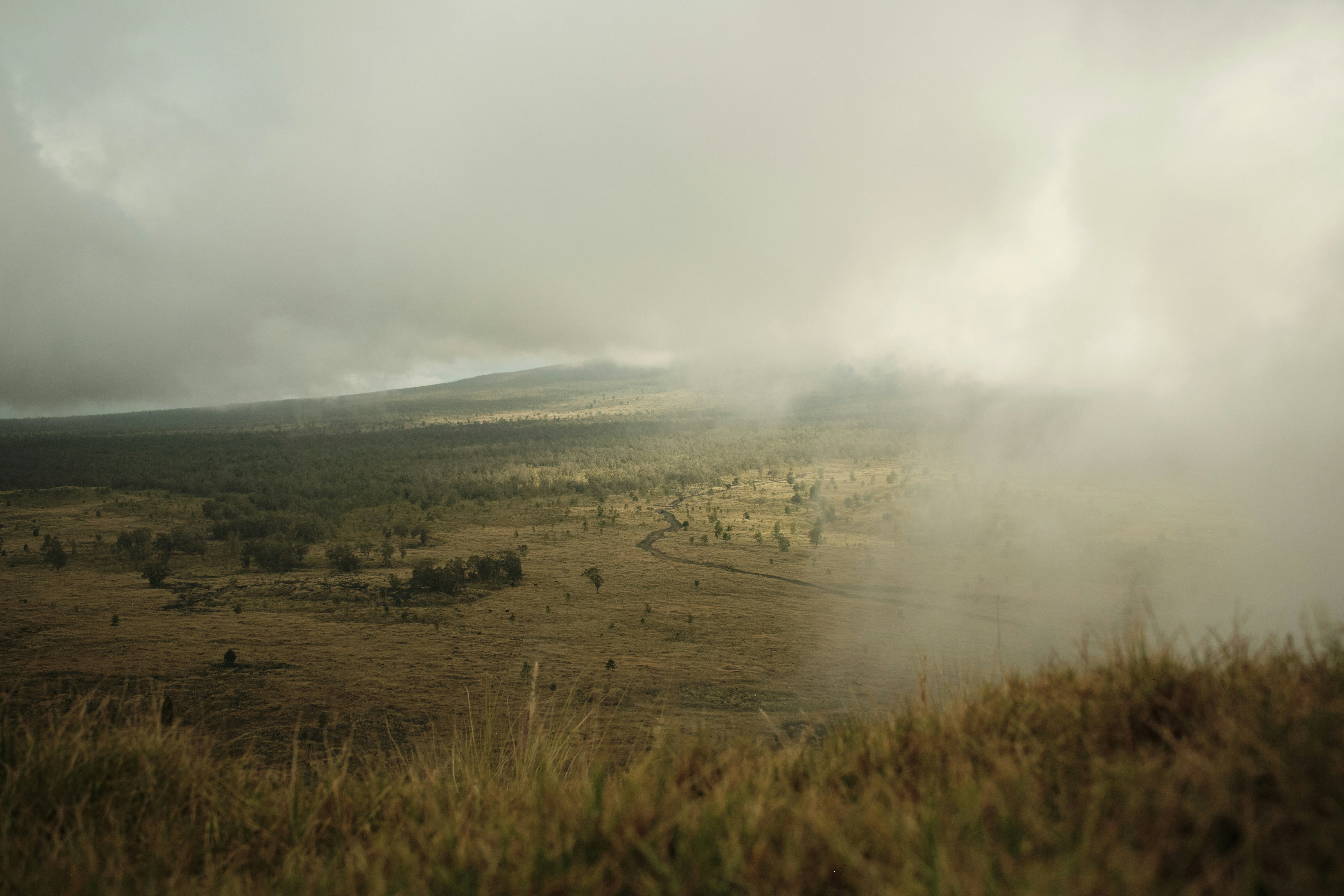 A foggy field with a hill in the distance