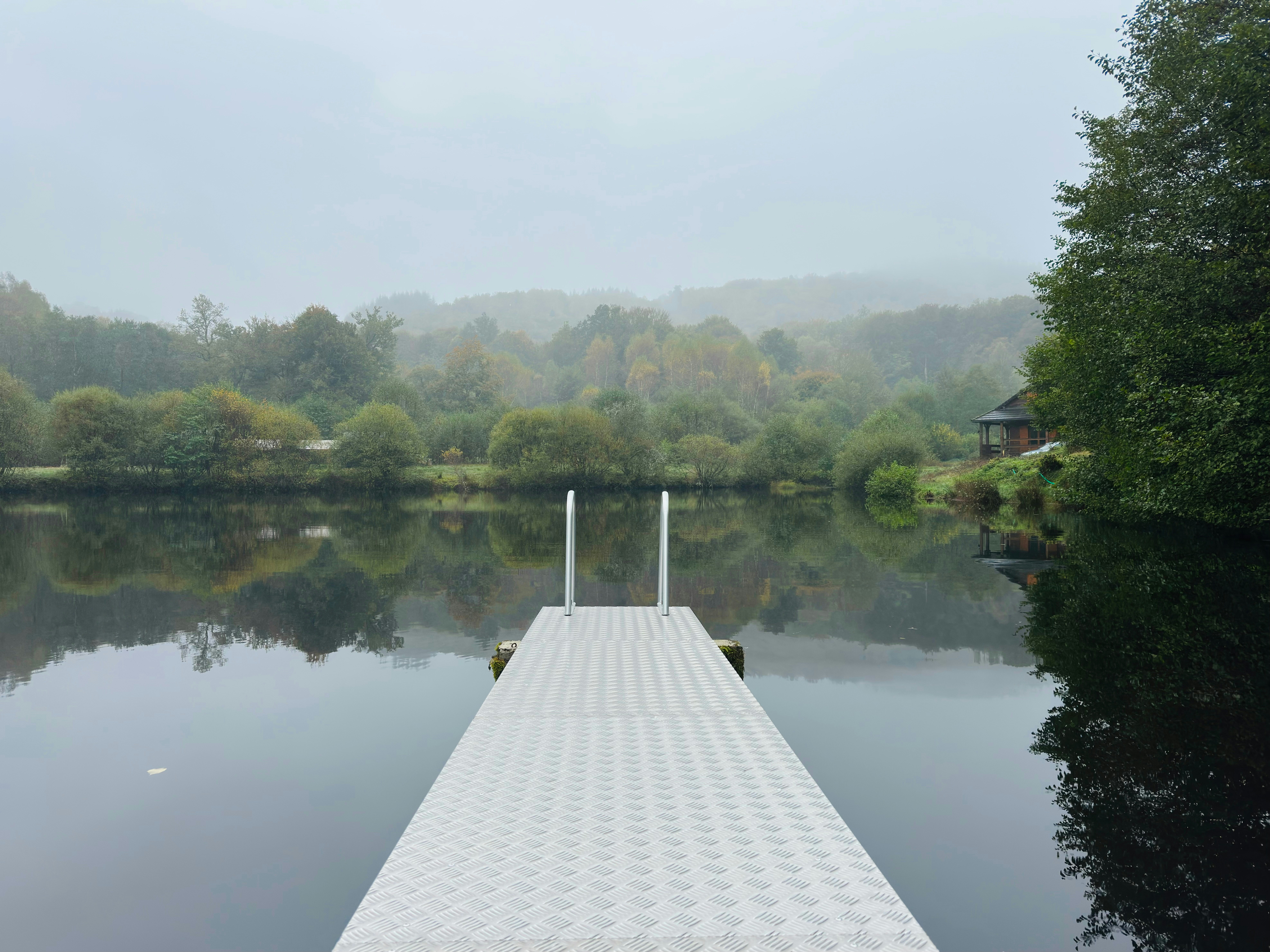 A dock sitting on top of a lake next to a forest