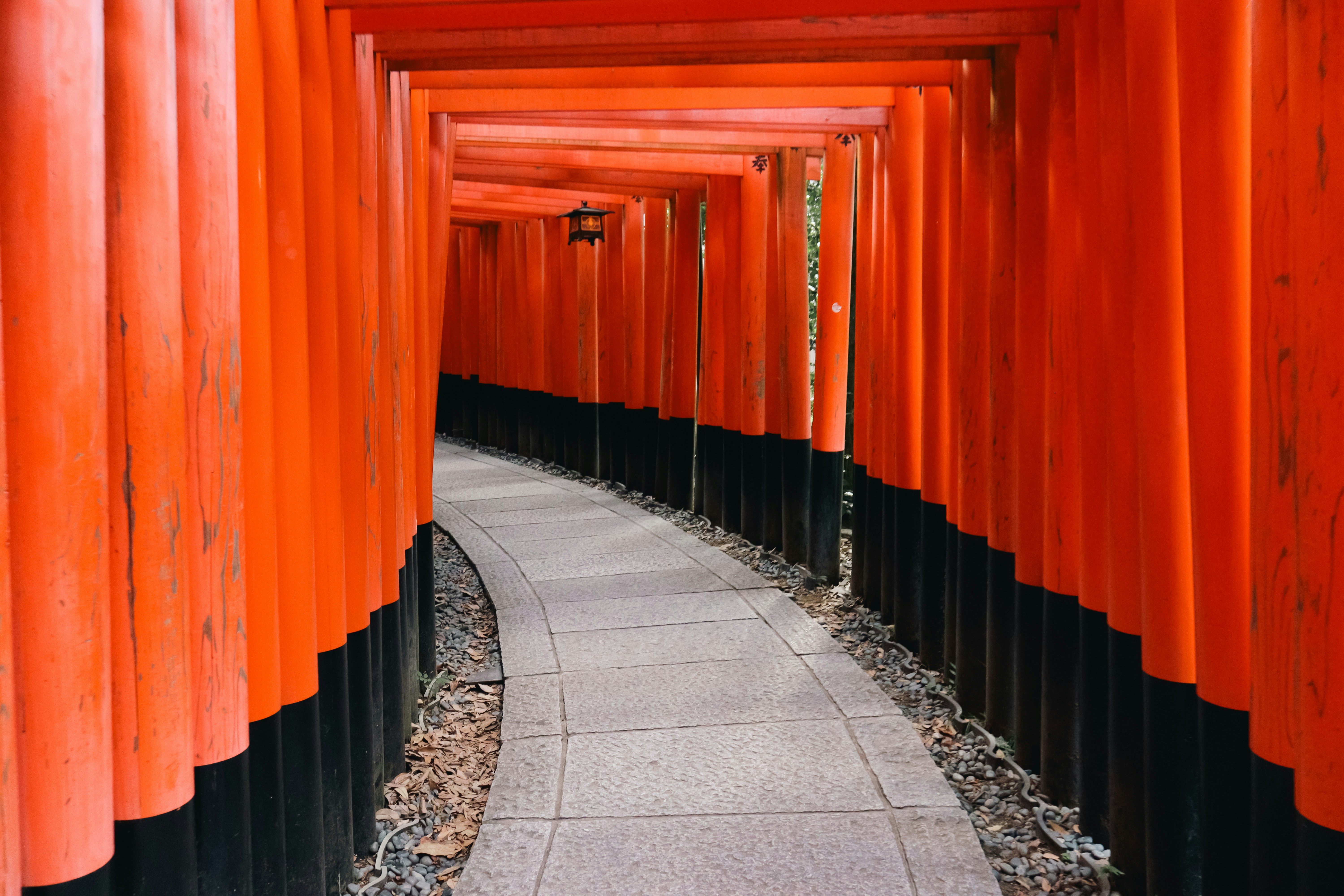 A walkway lined with orange and black columns