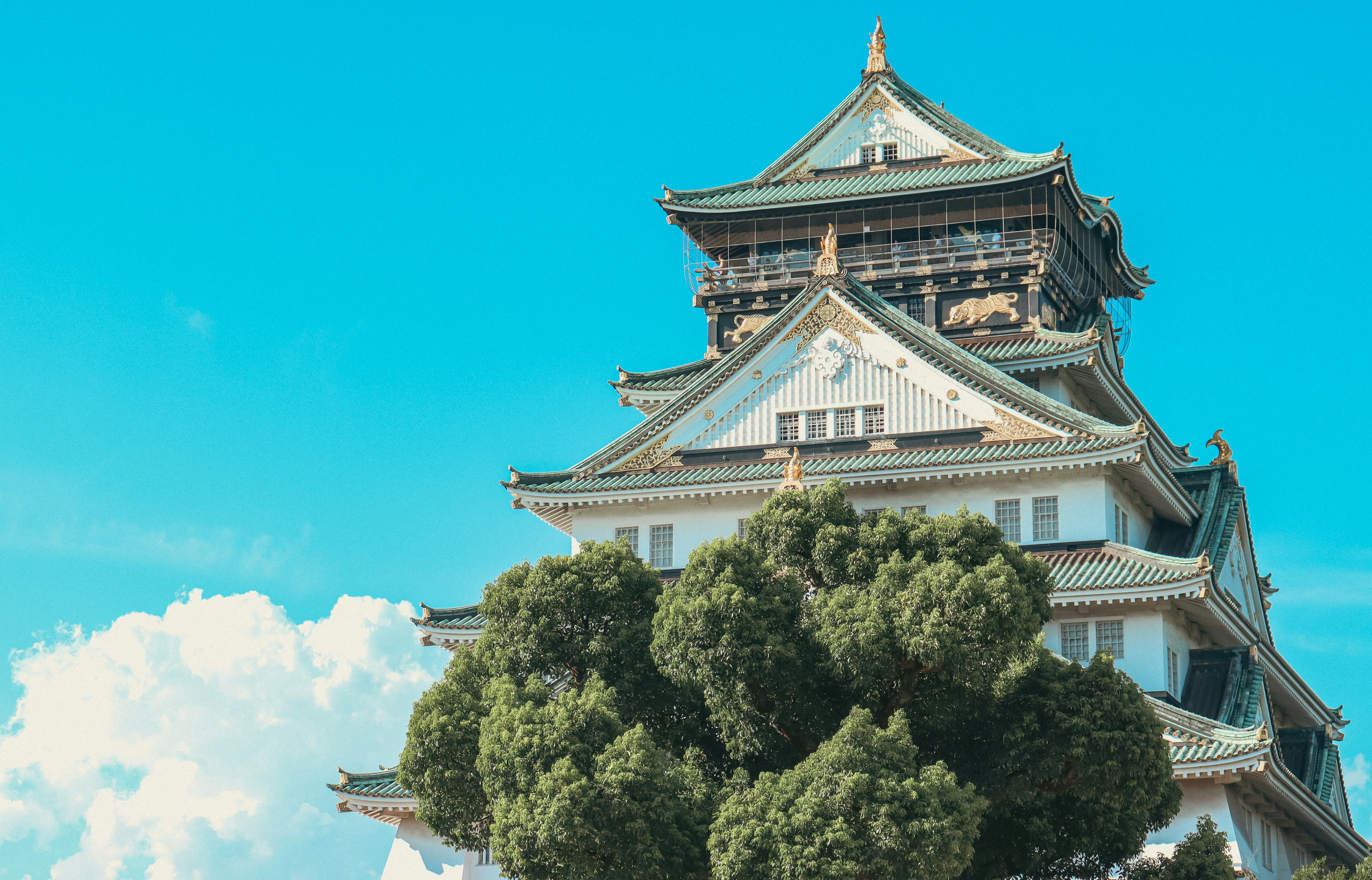 A tall building with a tree in front of it