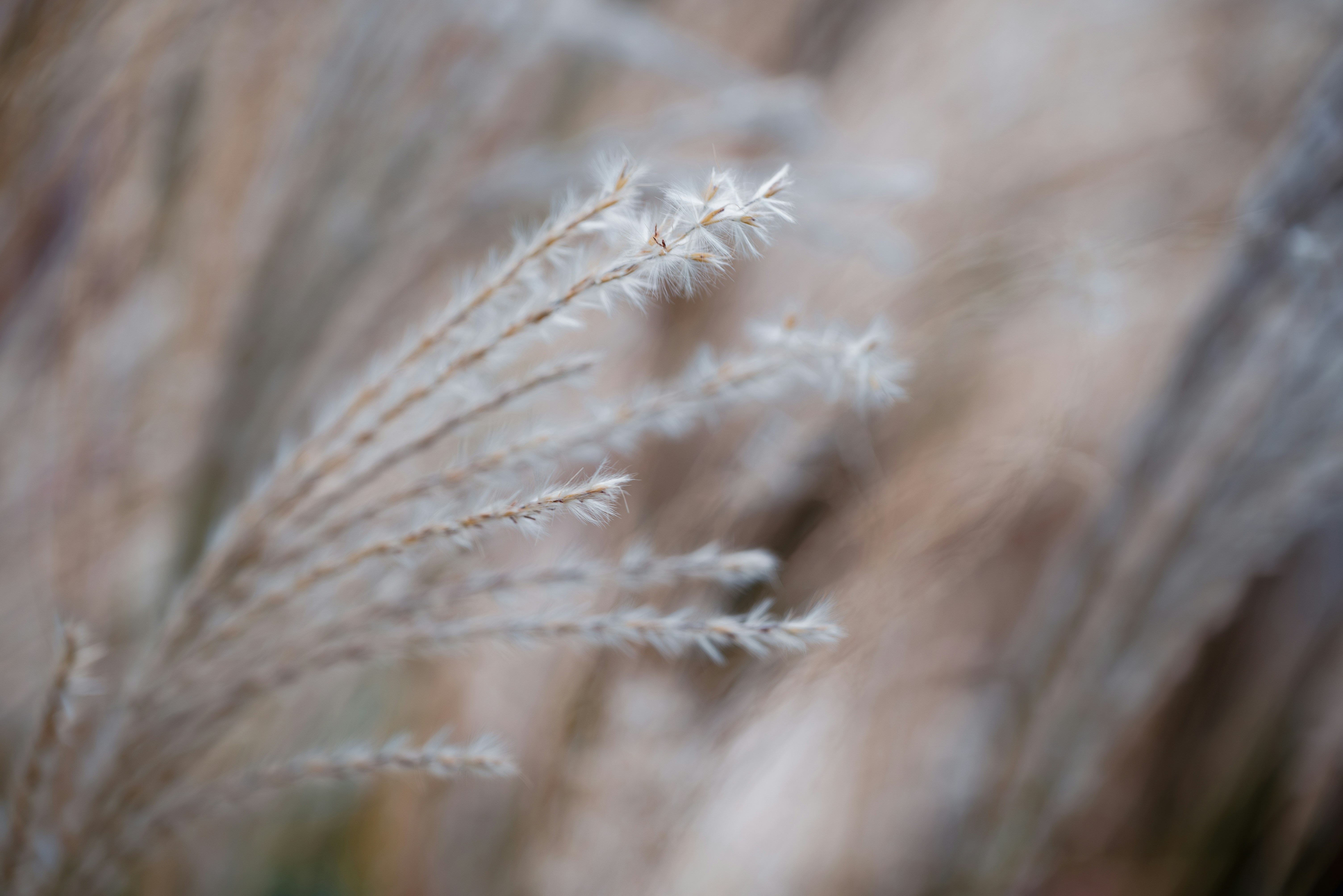 Photo by jetztabertempo