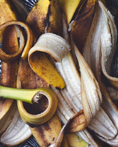 A bunch of bananas sitting on top of a table