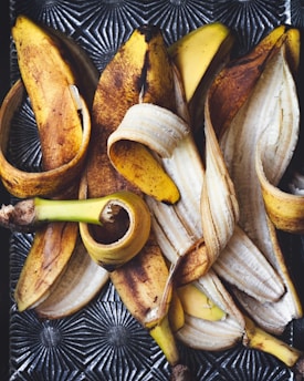 Best Compost Bins: Tumbler vs. Stationary Bin