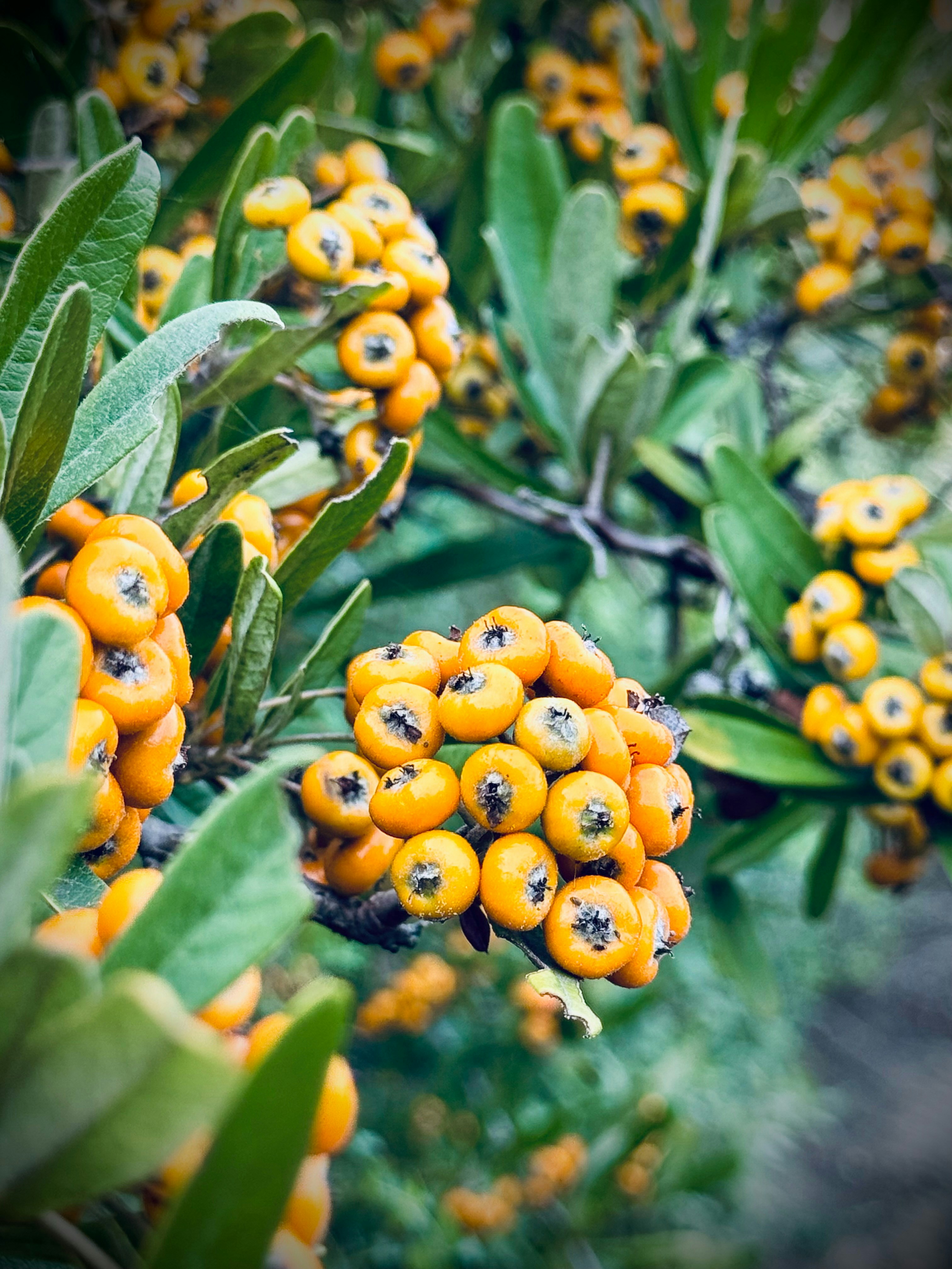 Photo by no_second_best