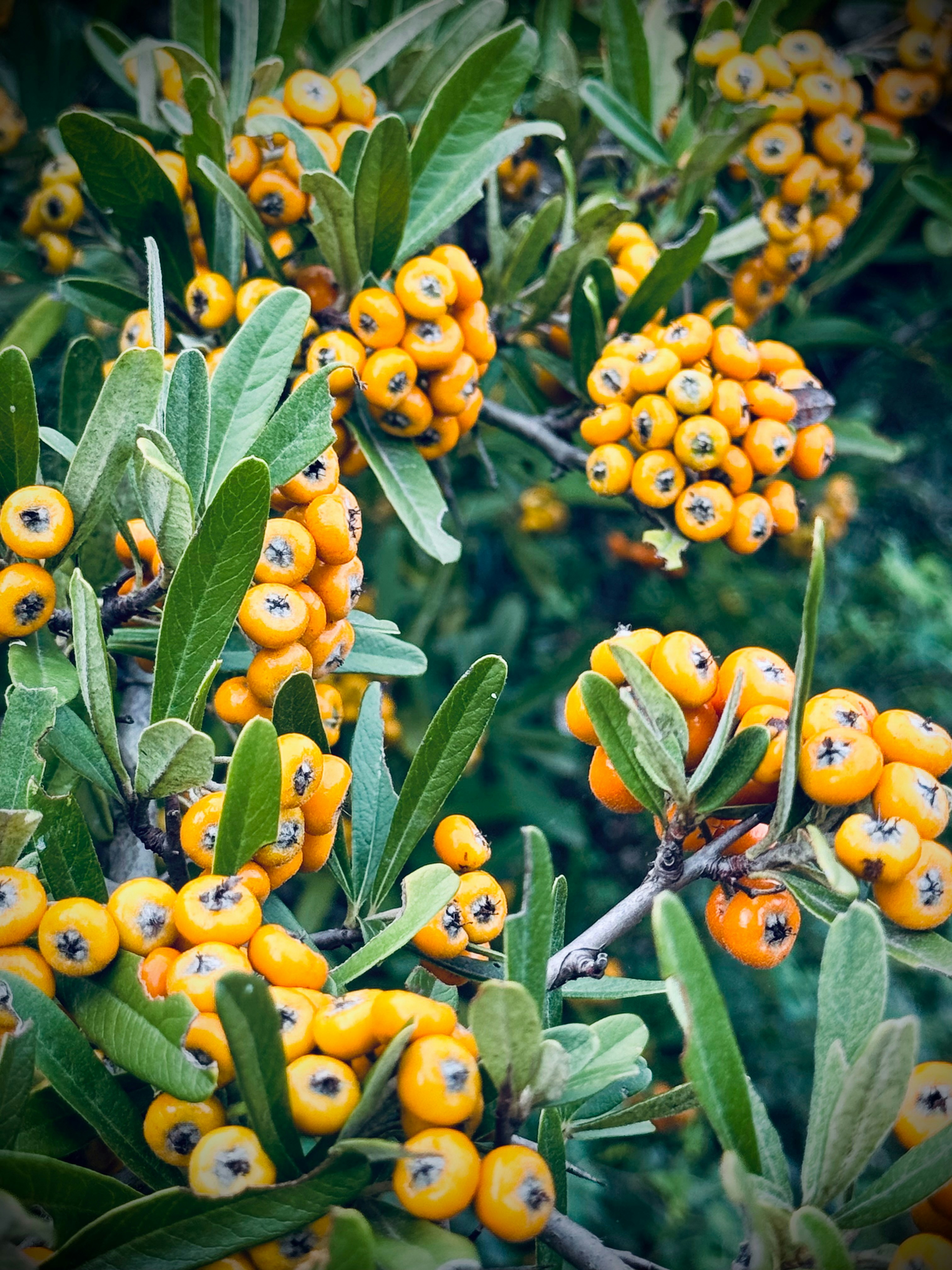 Photo by no_second_best