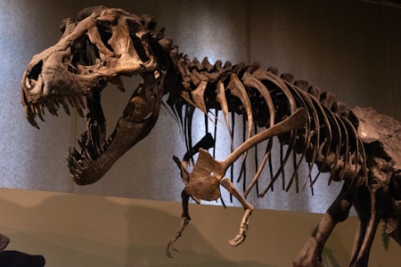 Jurassic World The Experience Bangkok