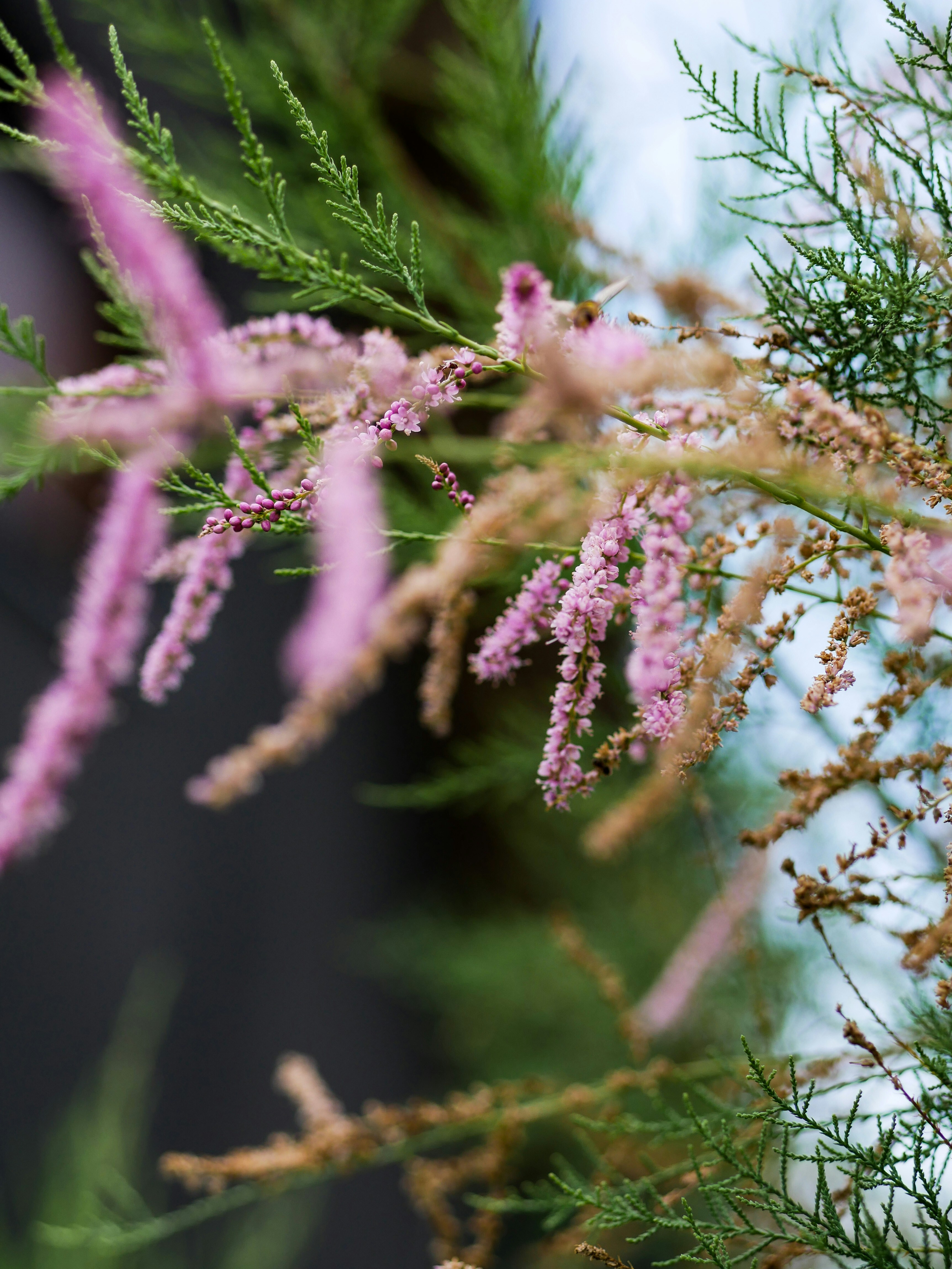 Photo by viviana_piper