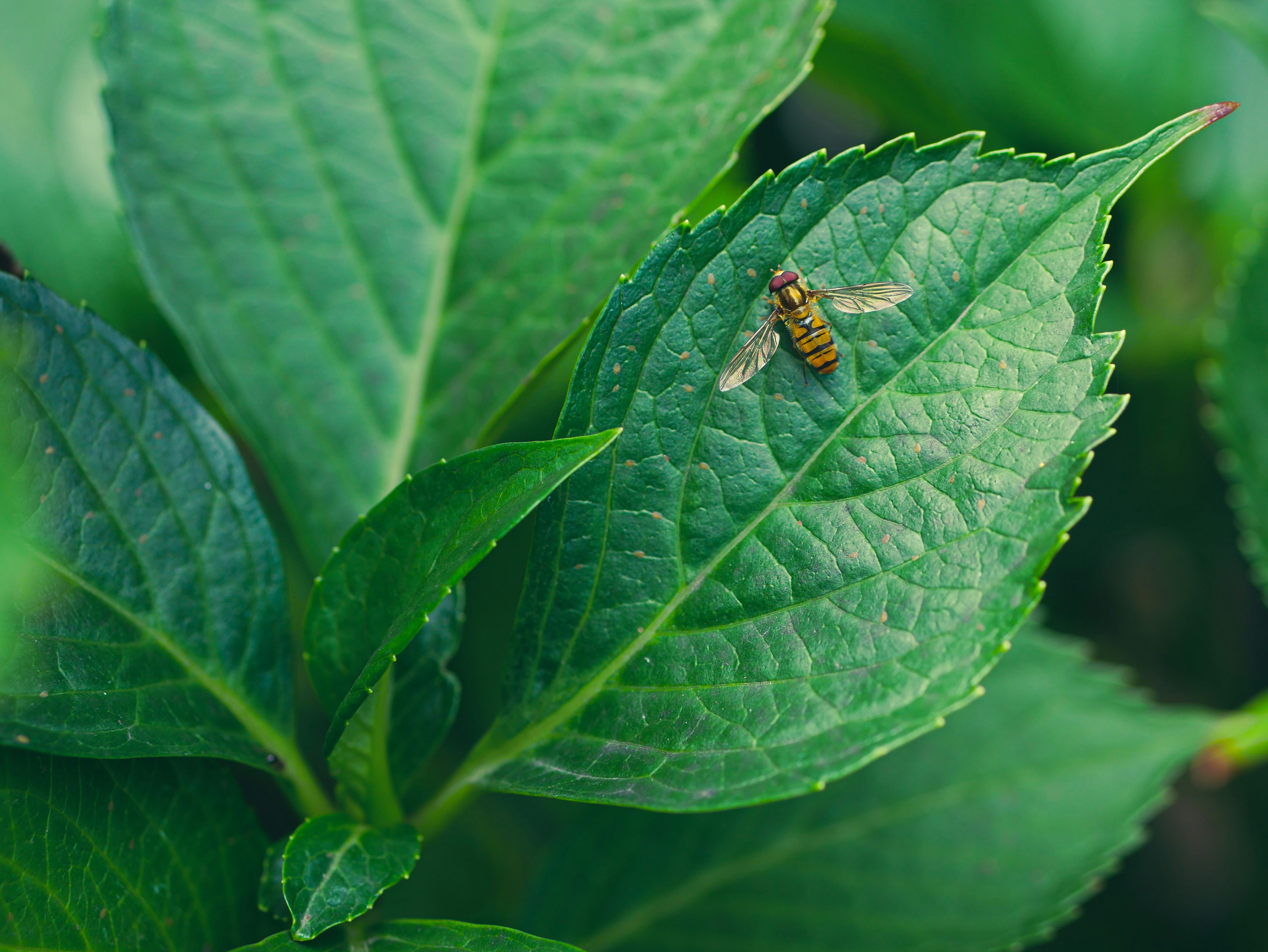 Photo by viviana_piper