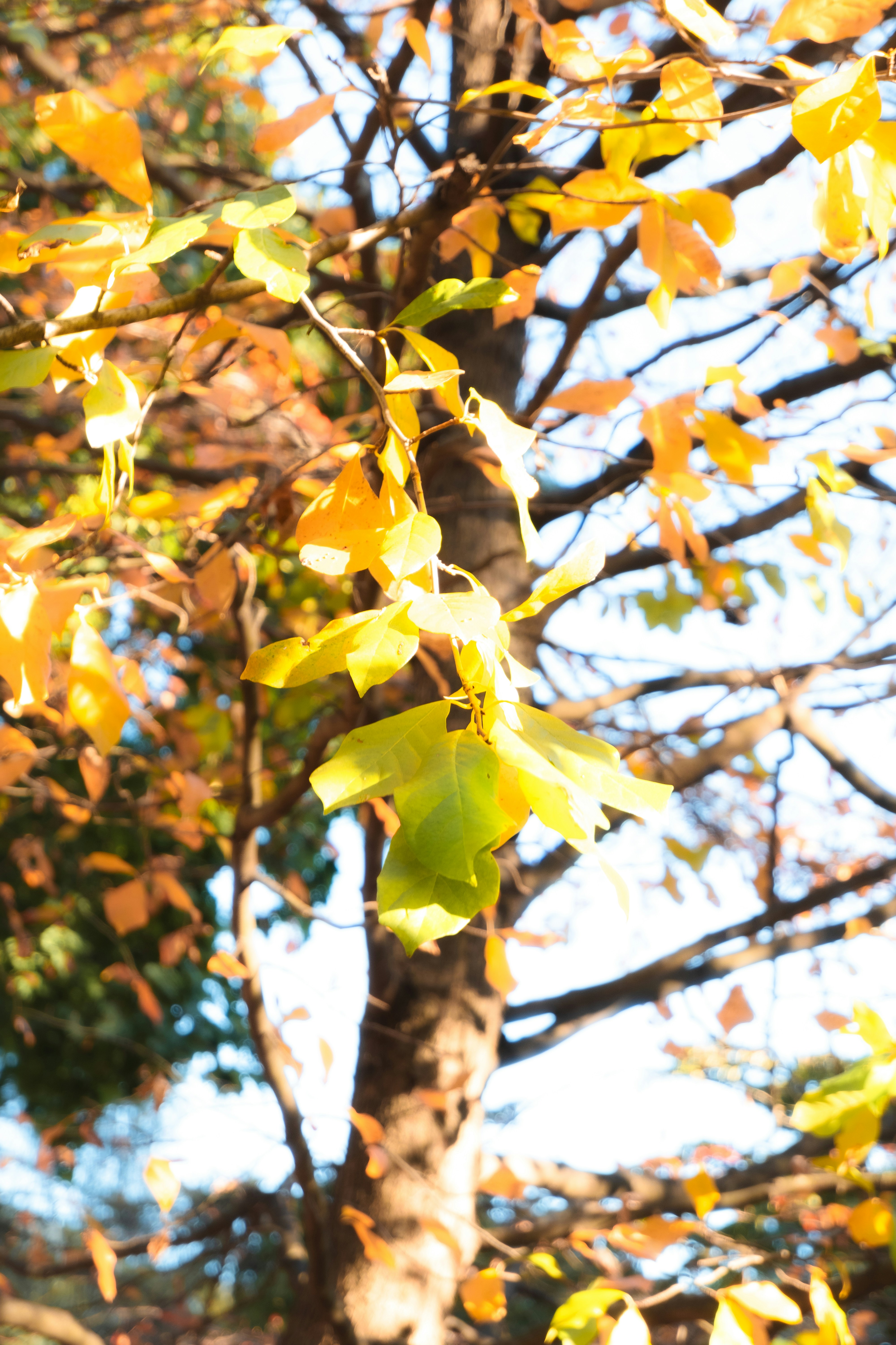 Photo by fionamurrayphoto