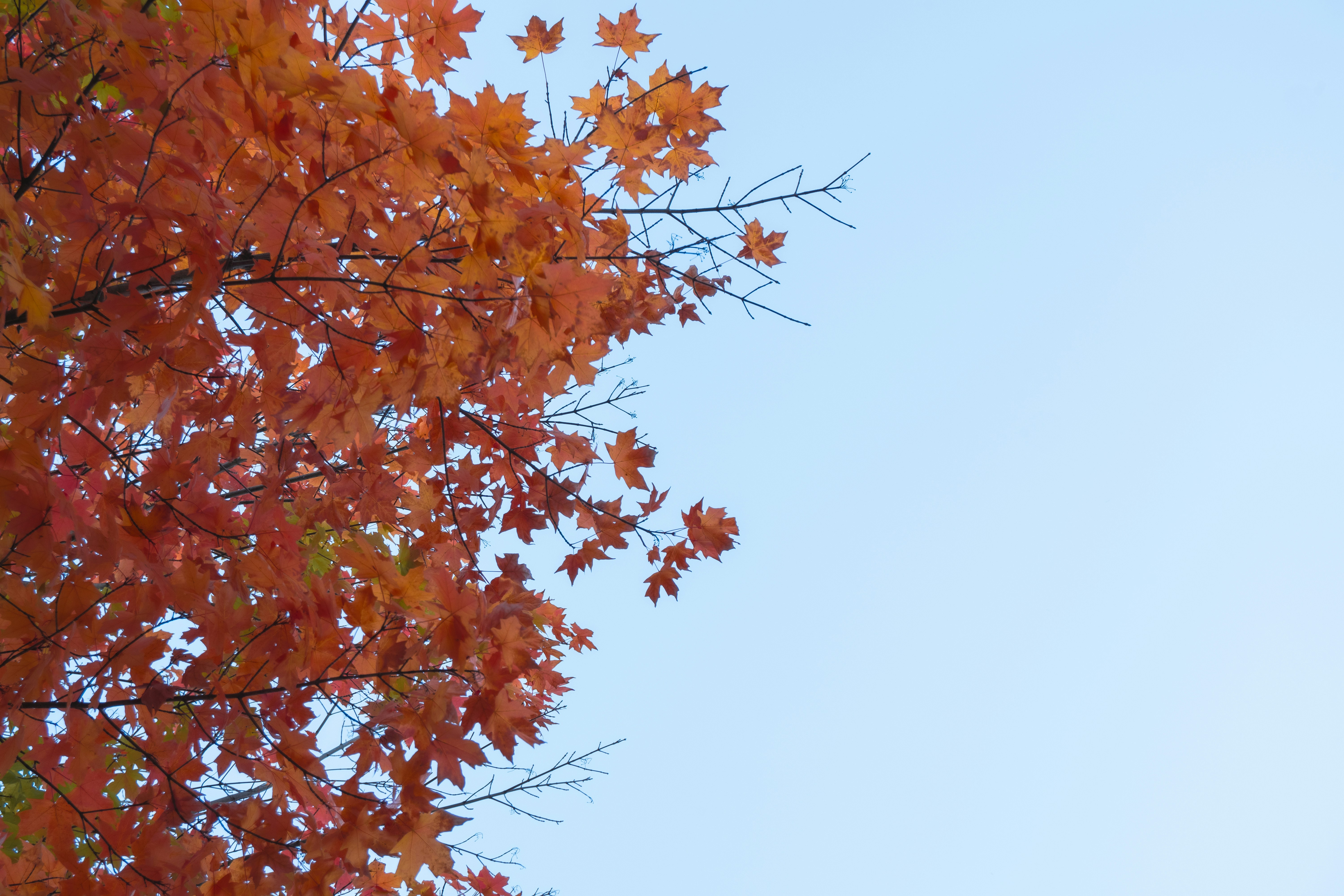 Photo by fionamurrayphoto