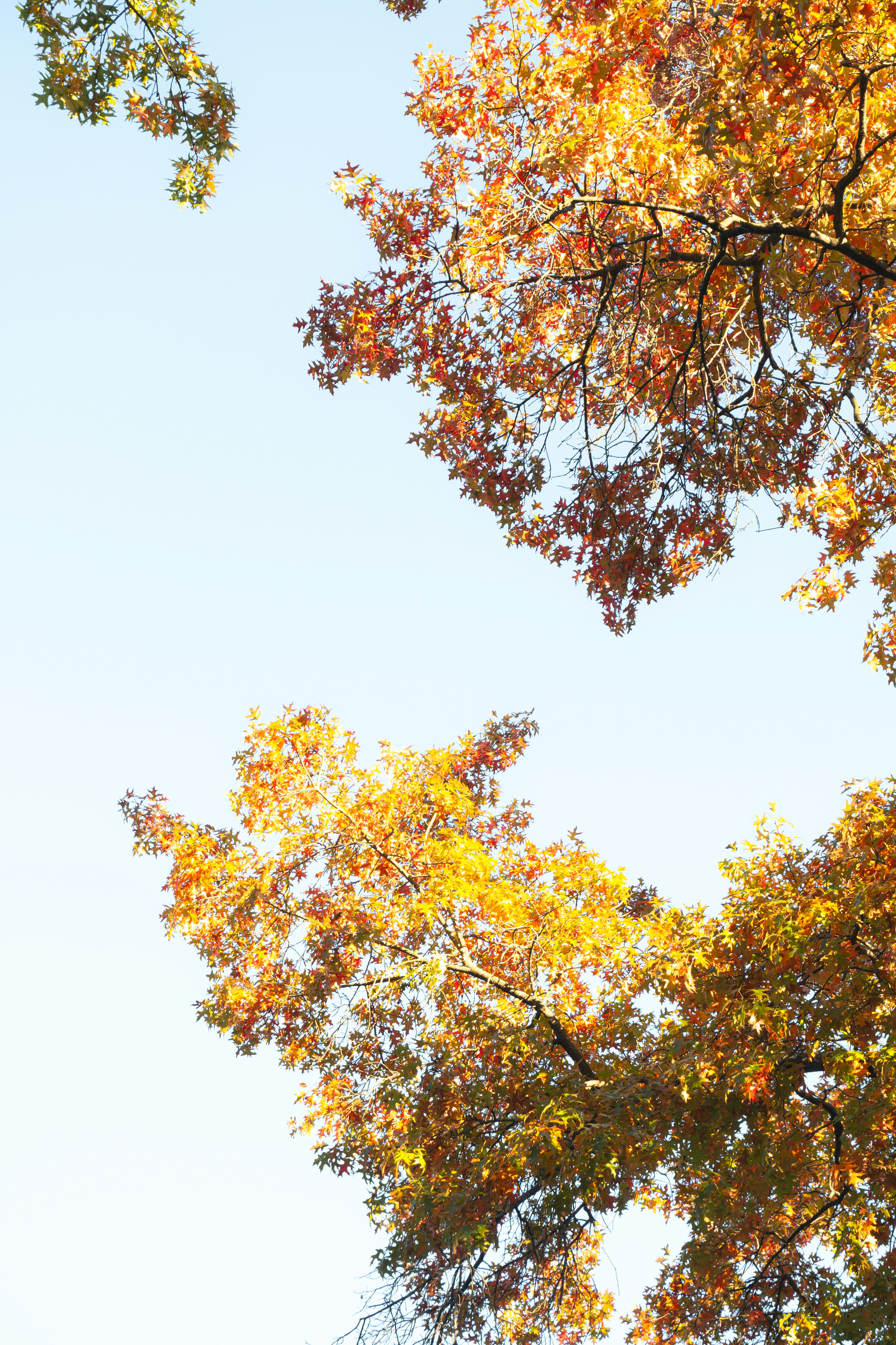 Photo by fionamurrayphoto