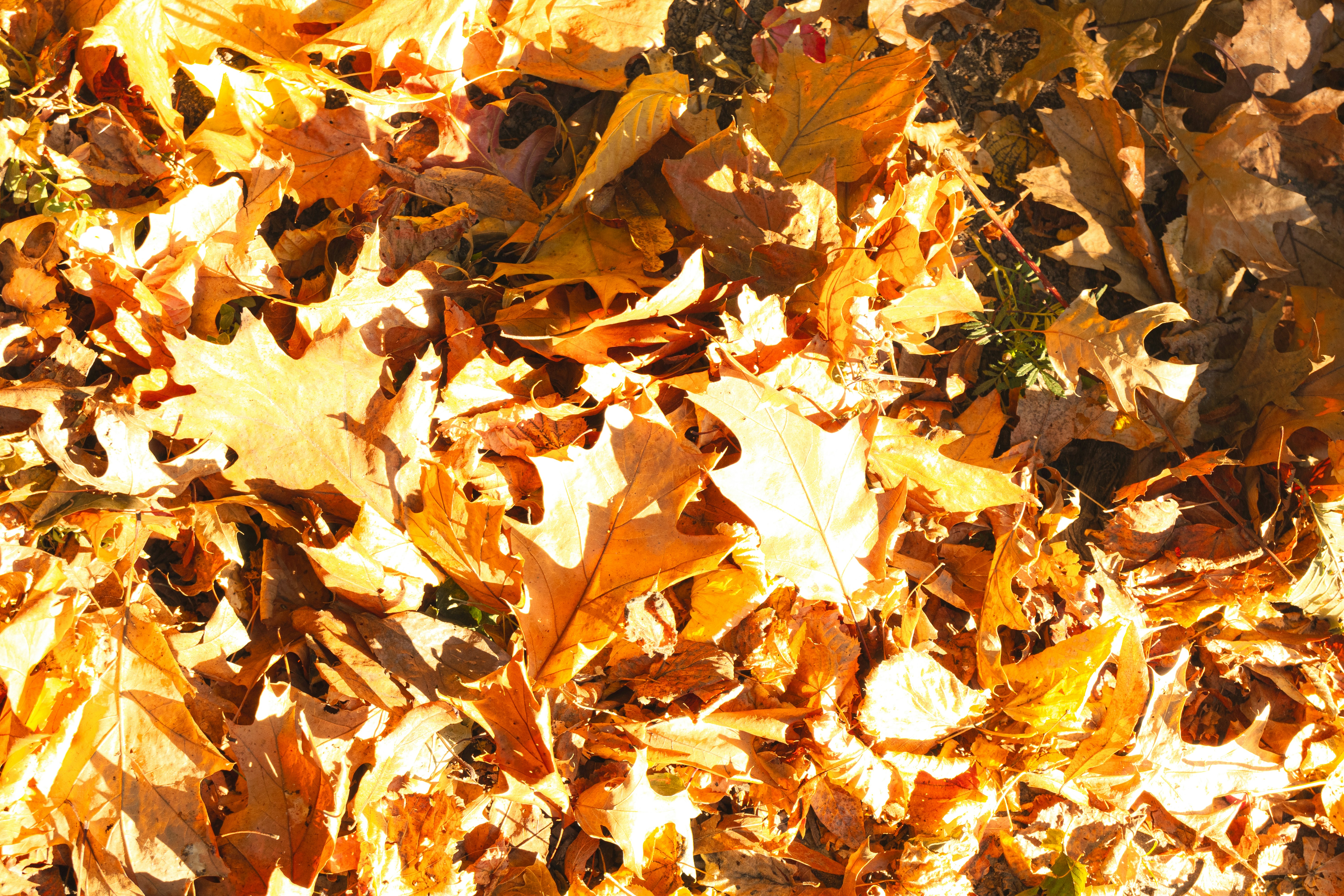 Photo by fionamurrayphoto