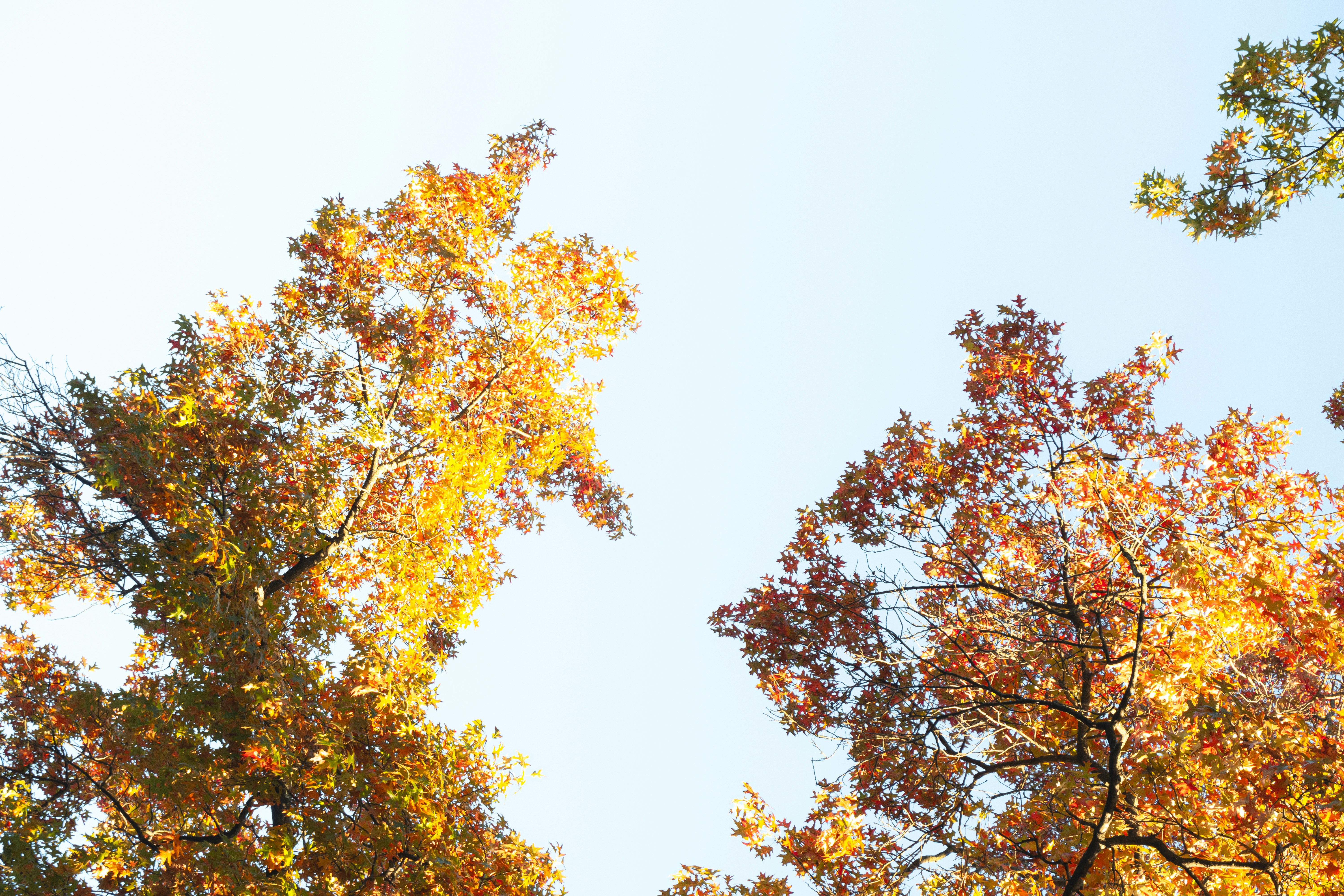 Photo by fionamurrayphoto