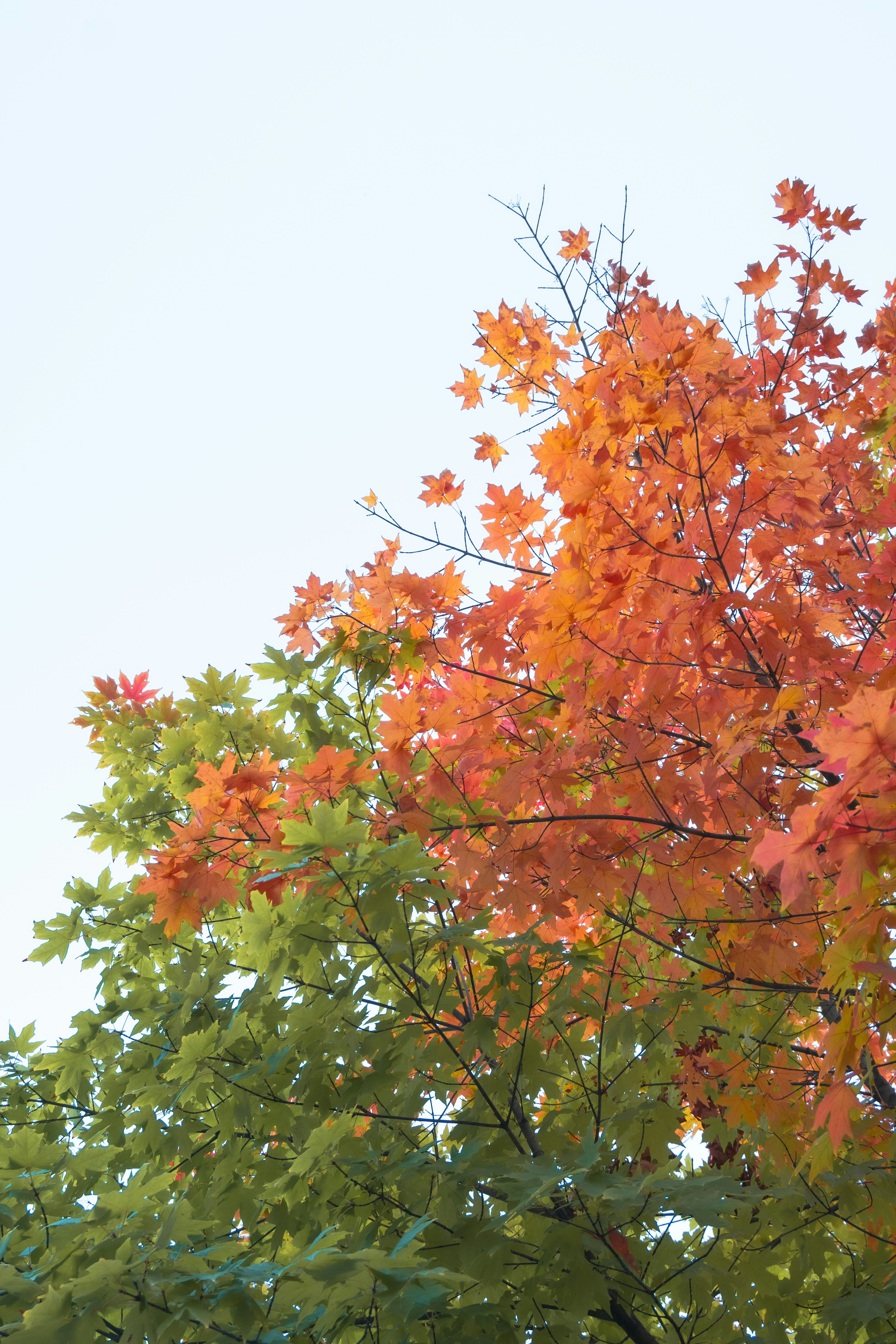 Photo by fionamurrayphoto