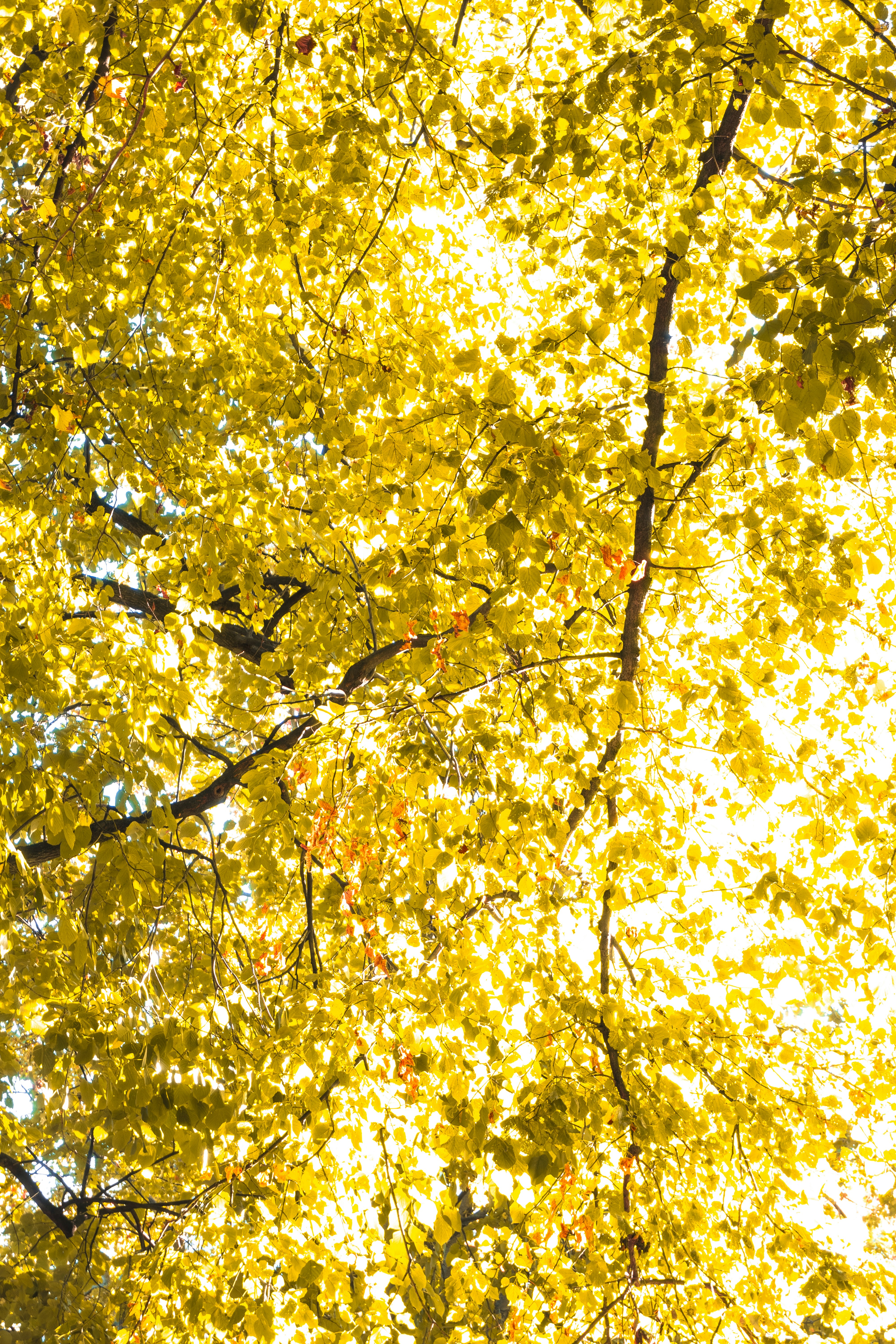 Photo by fionamurrayphoto