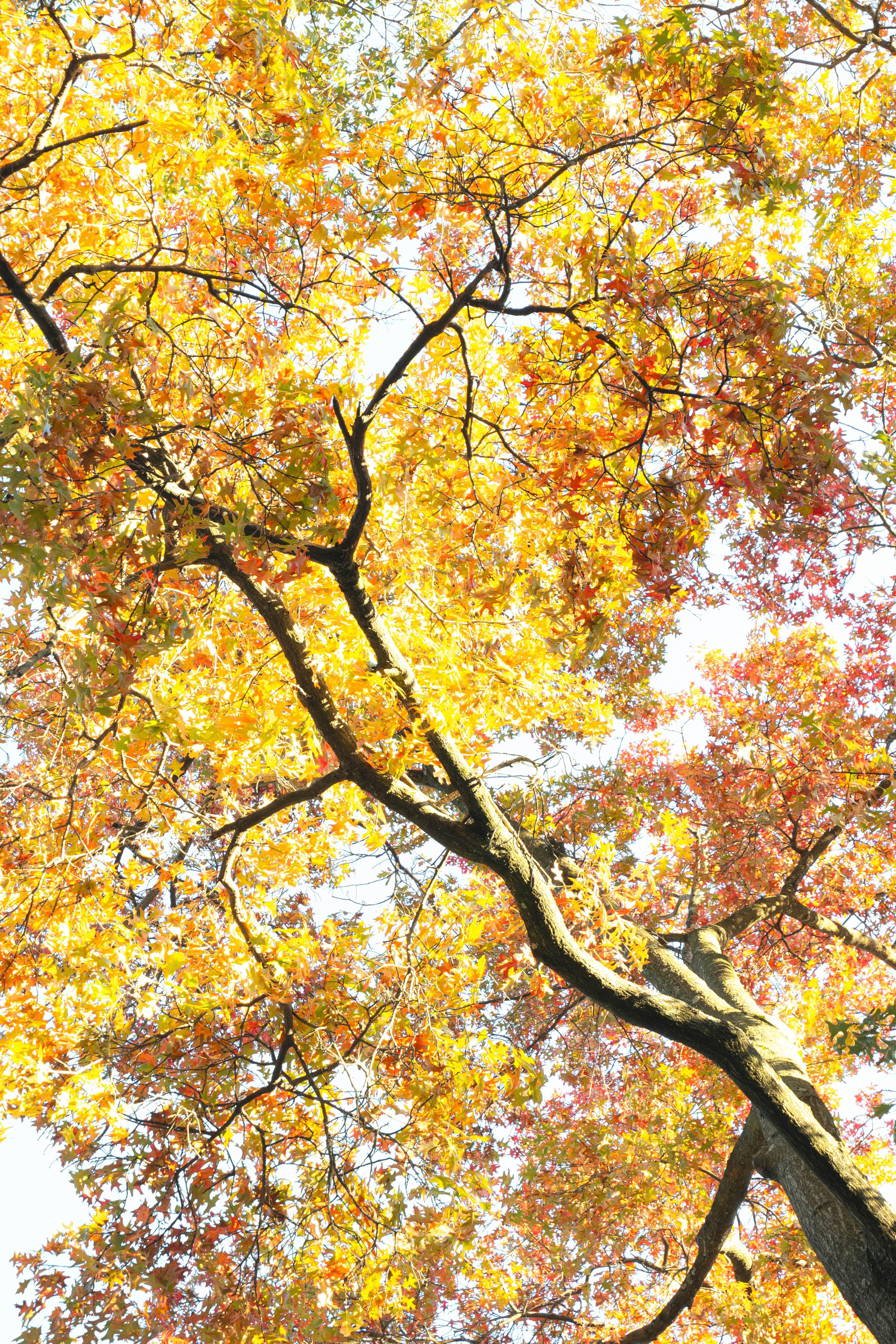 Photo by fionamurrayphoto