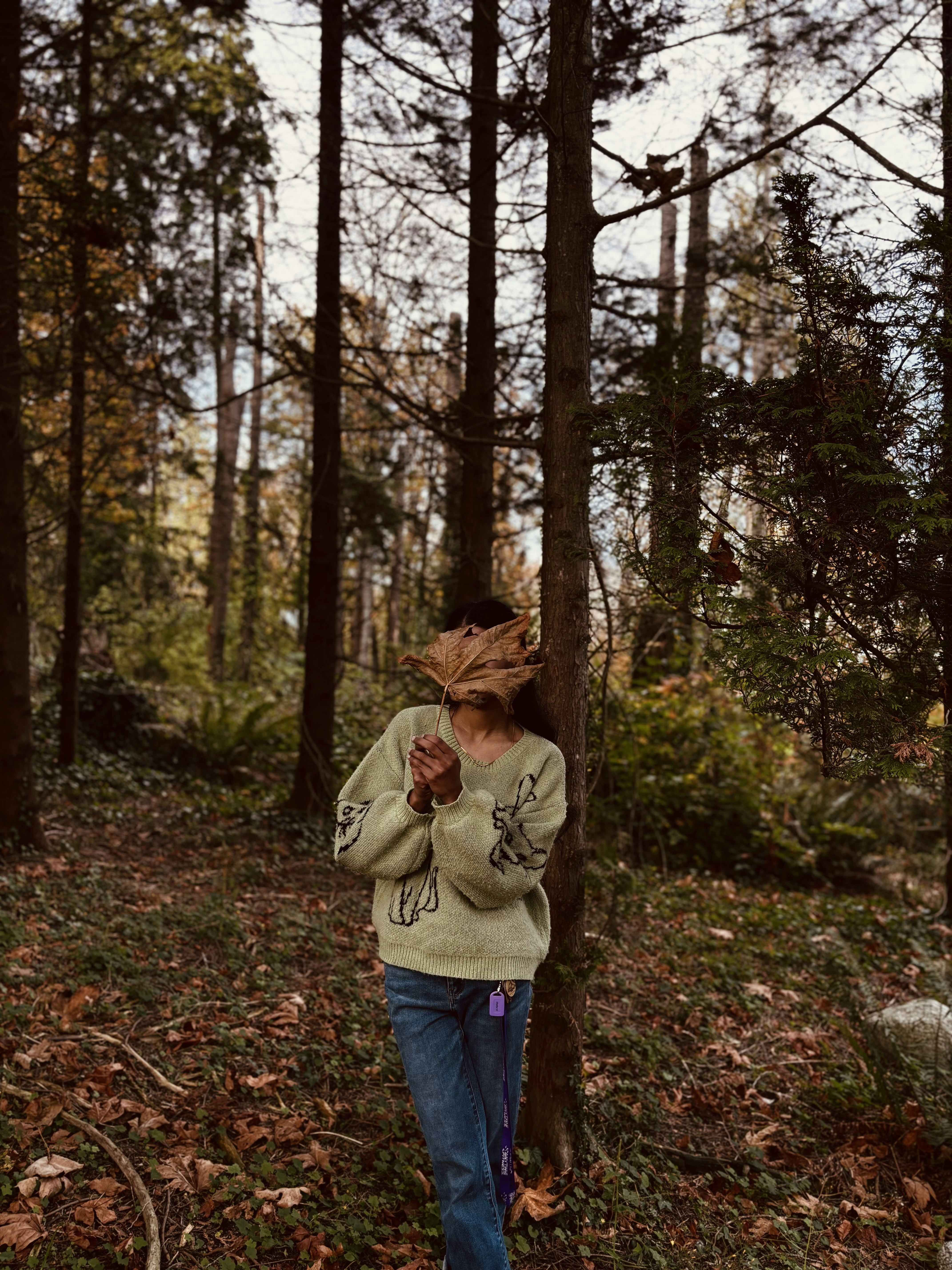 Photo by gursimran_41