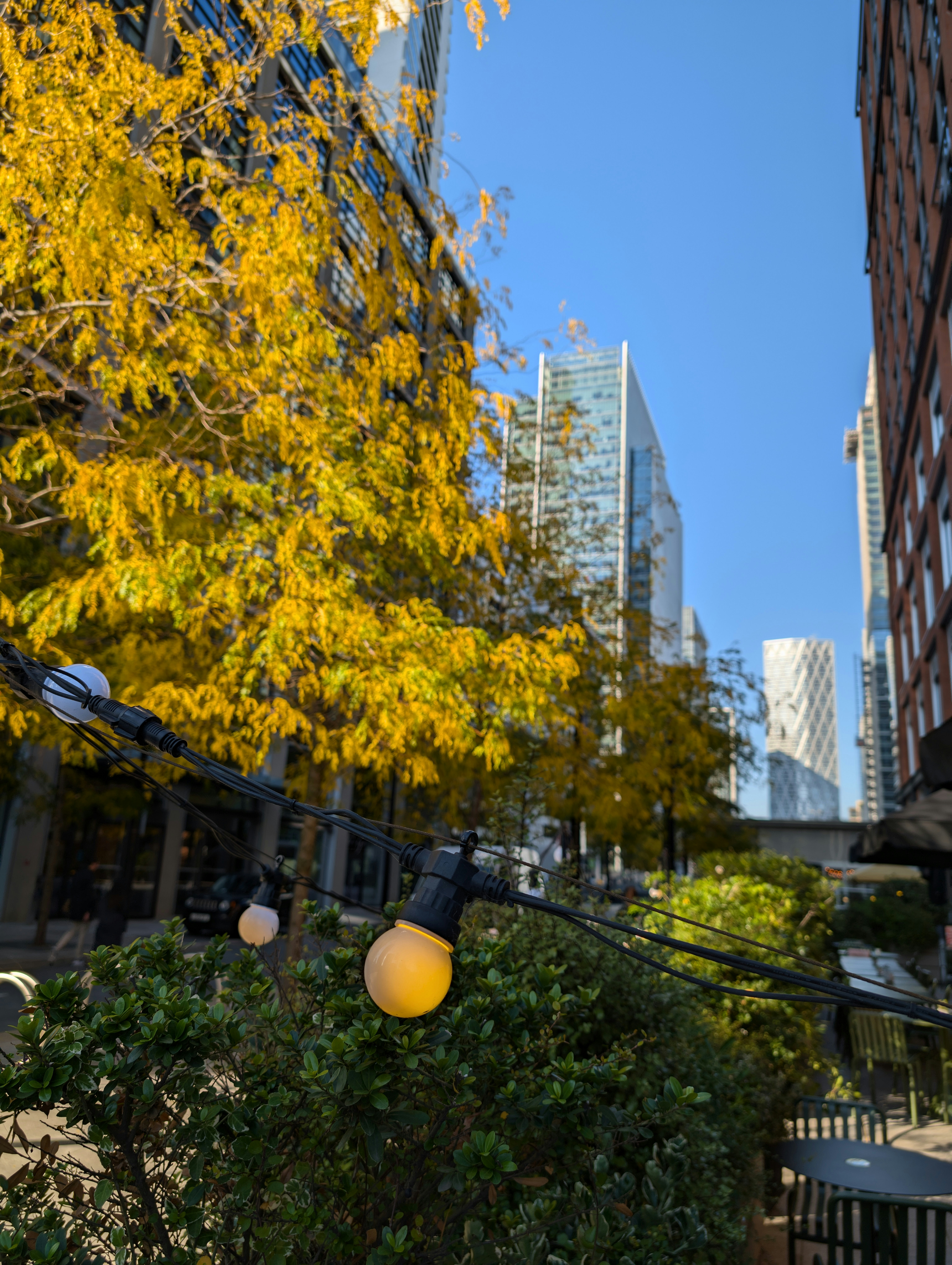 Photo by manchenkoff