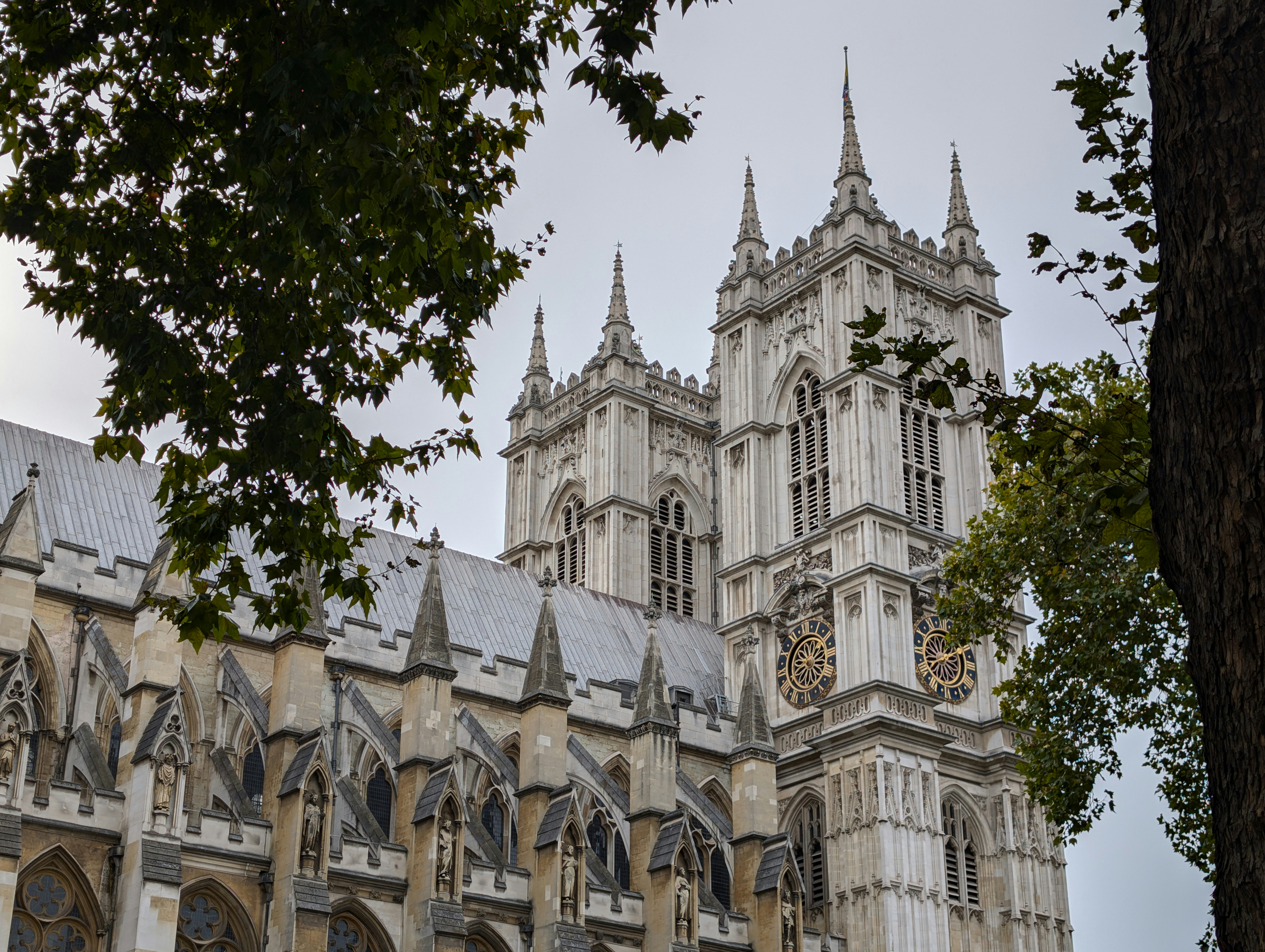 Photo by manchenkoff