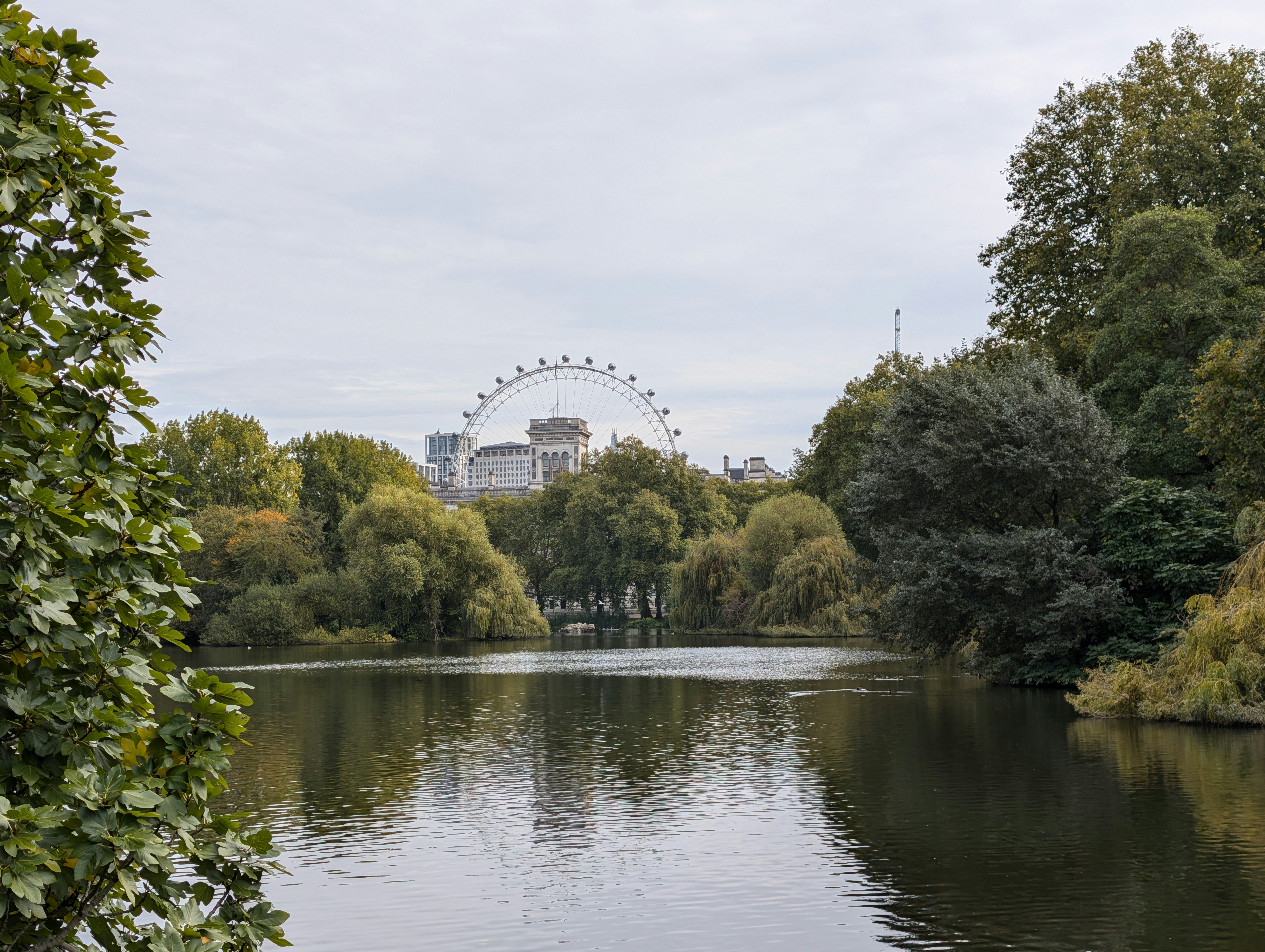 A river with a ferris wheel in the background