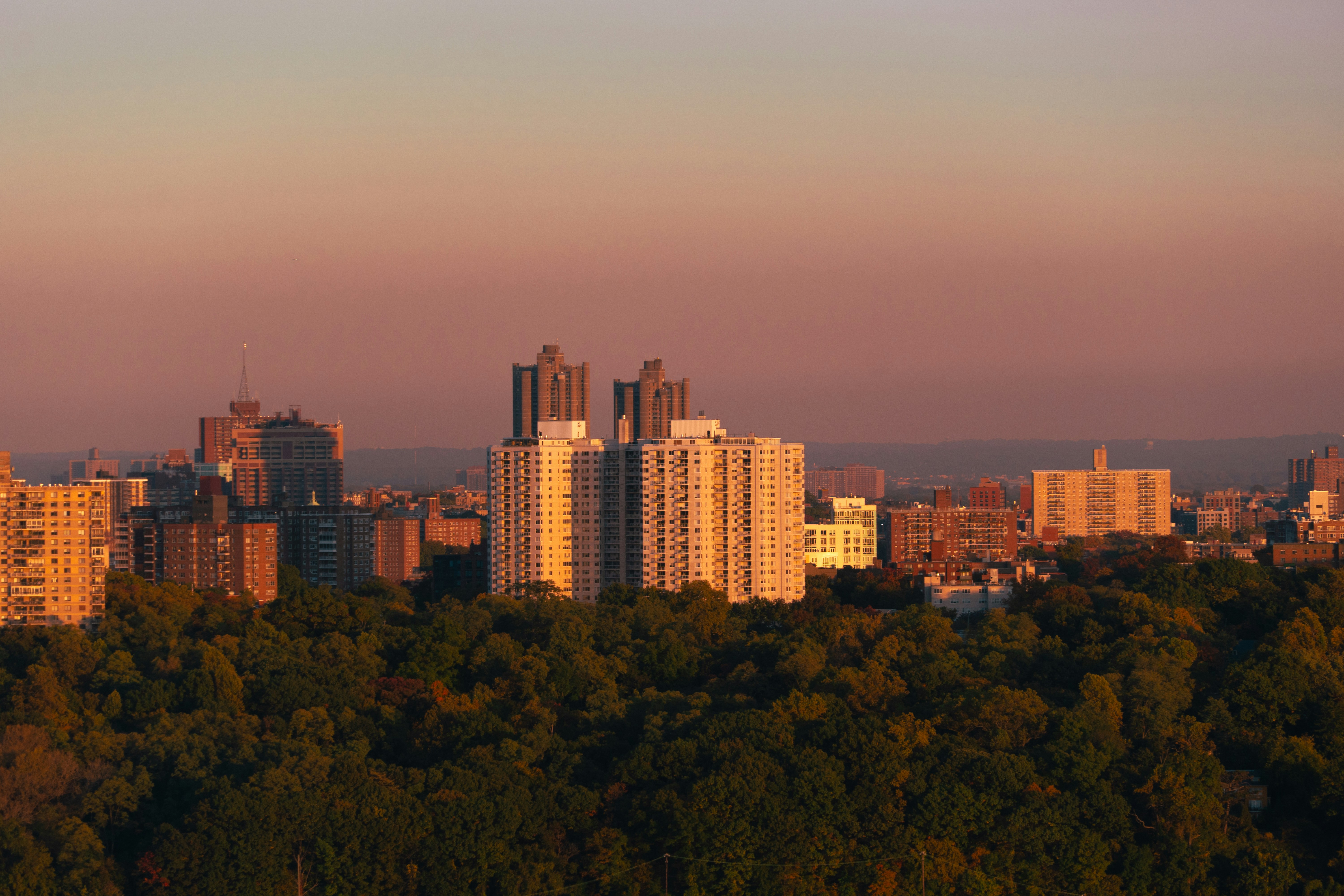 Photo by seandogjani