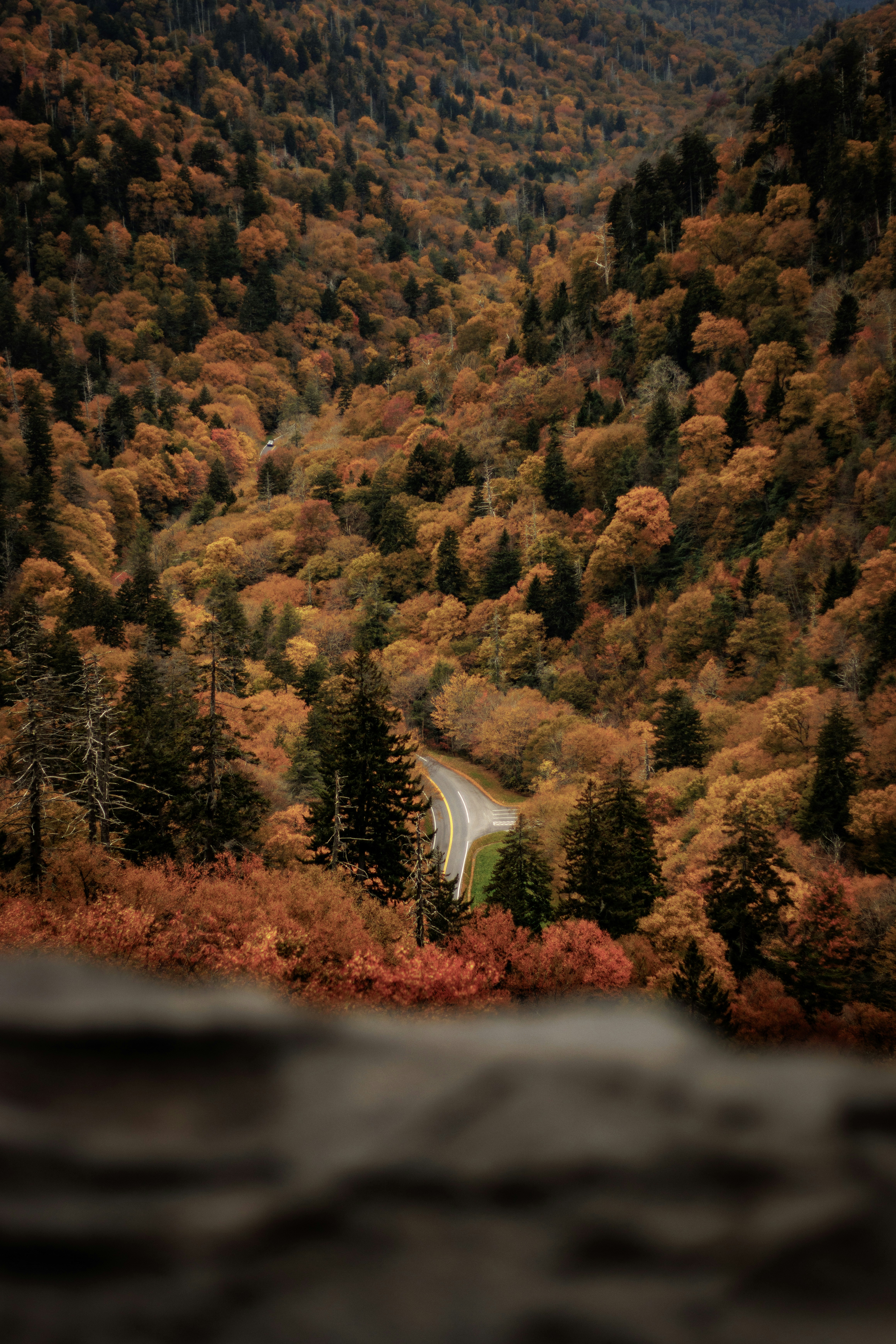 Photo by parkerdesignsss