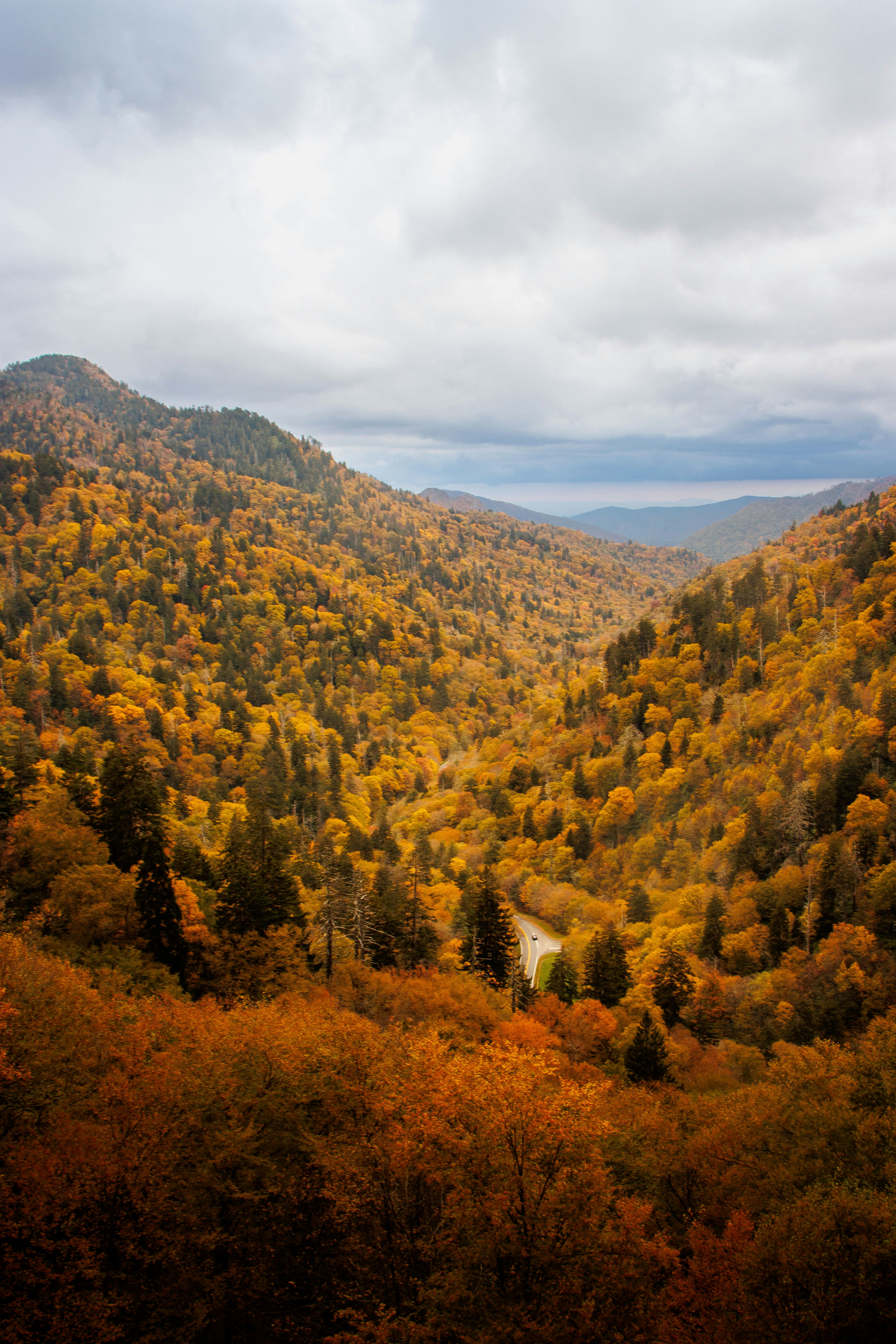 Photo by parkerdesignsss