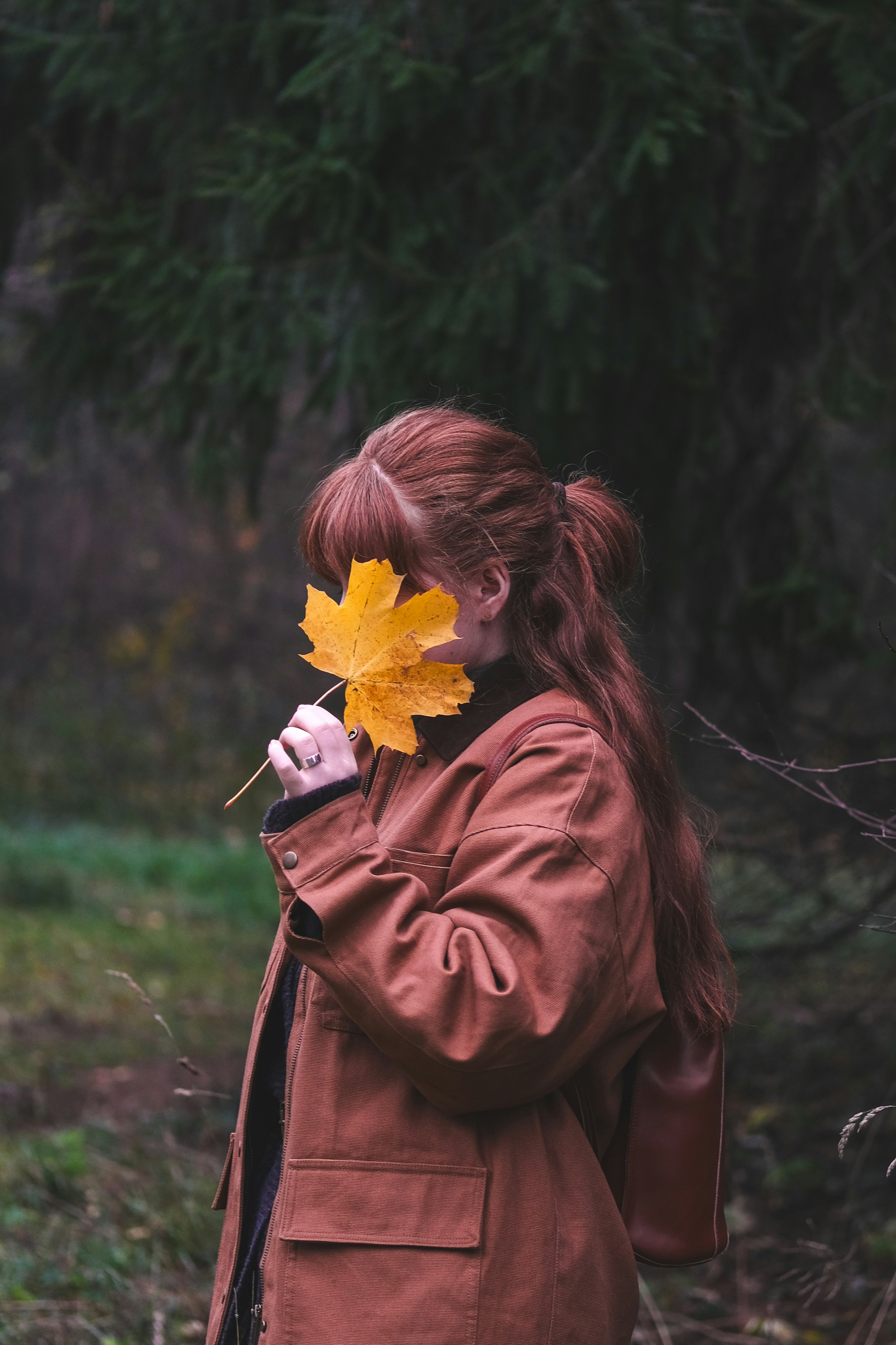 Photo by rolig_basseng