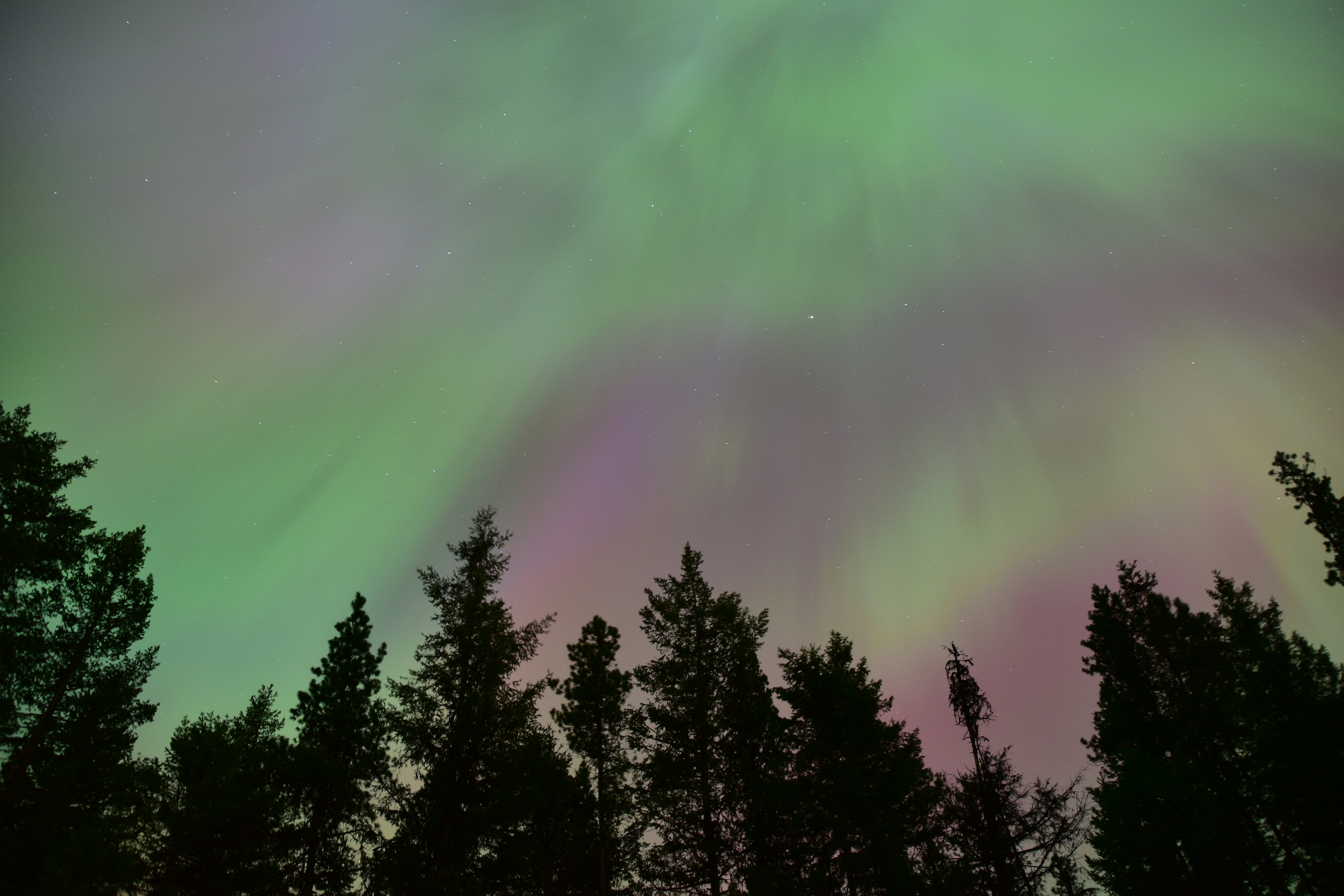 A green and purple aurora bore in the sky