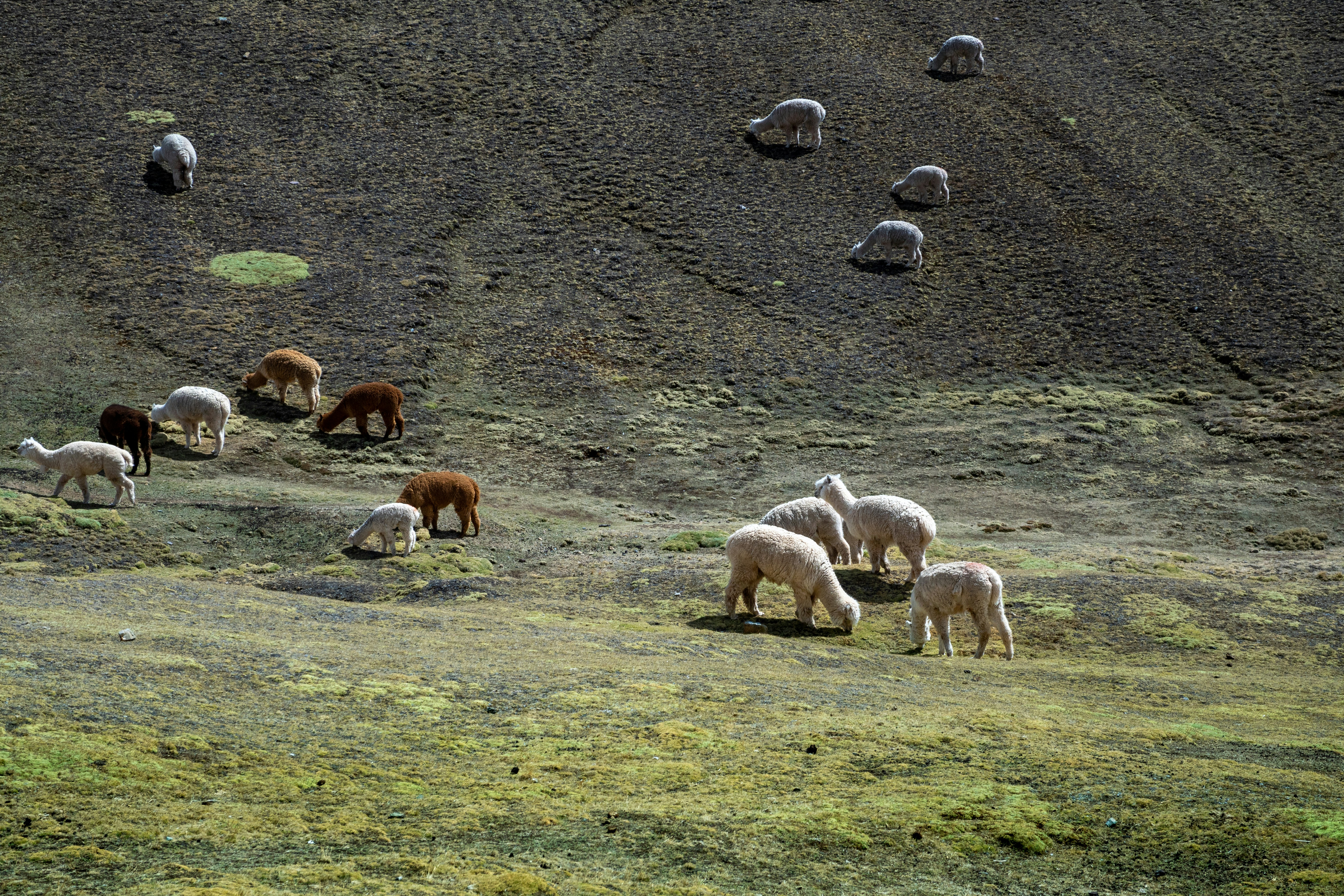 Photo by raisiqueira