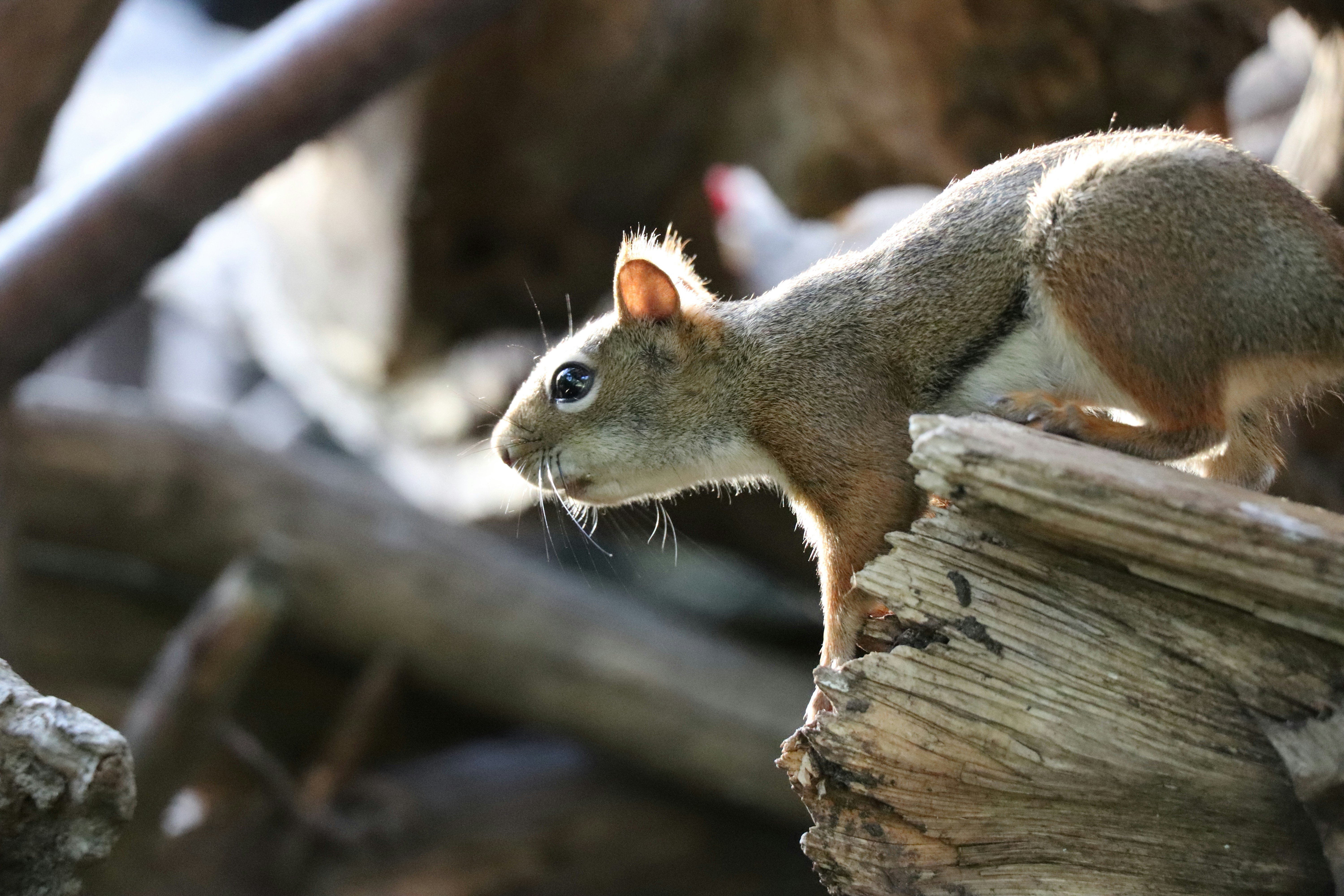 Photo by sandimagerart