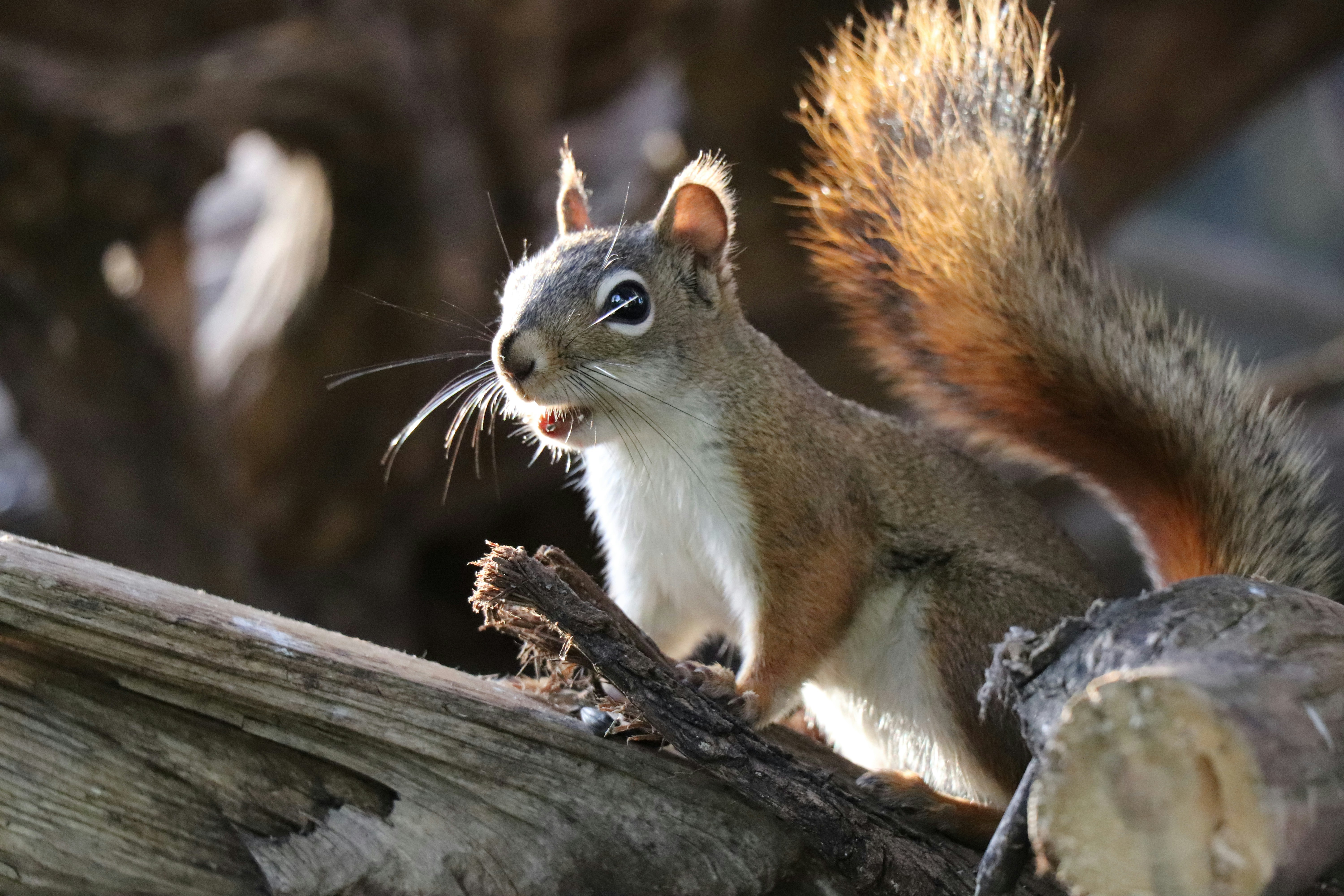 Photo by sandimagerart