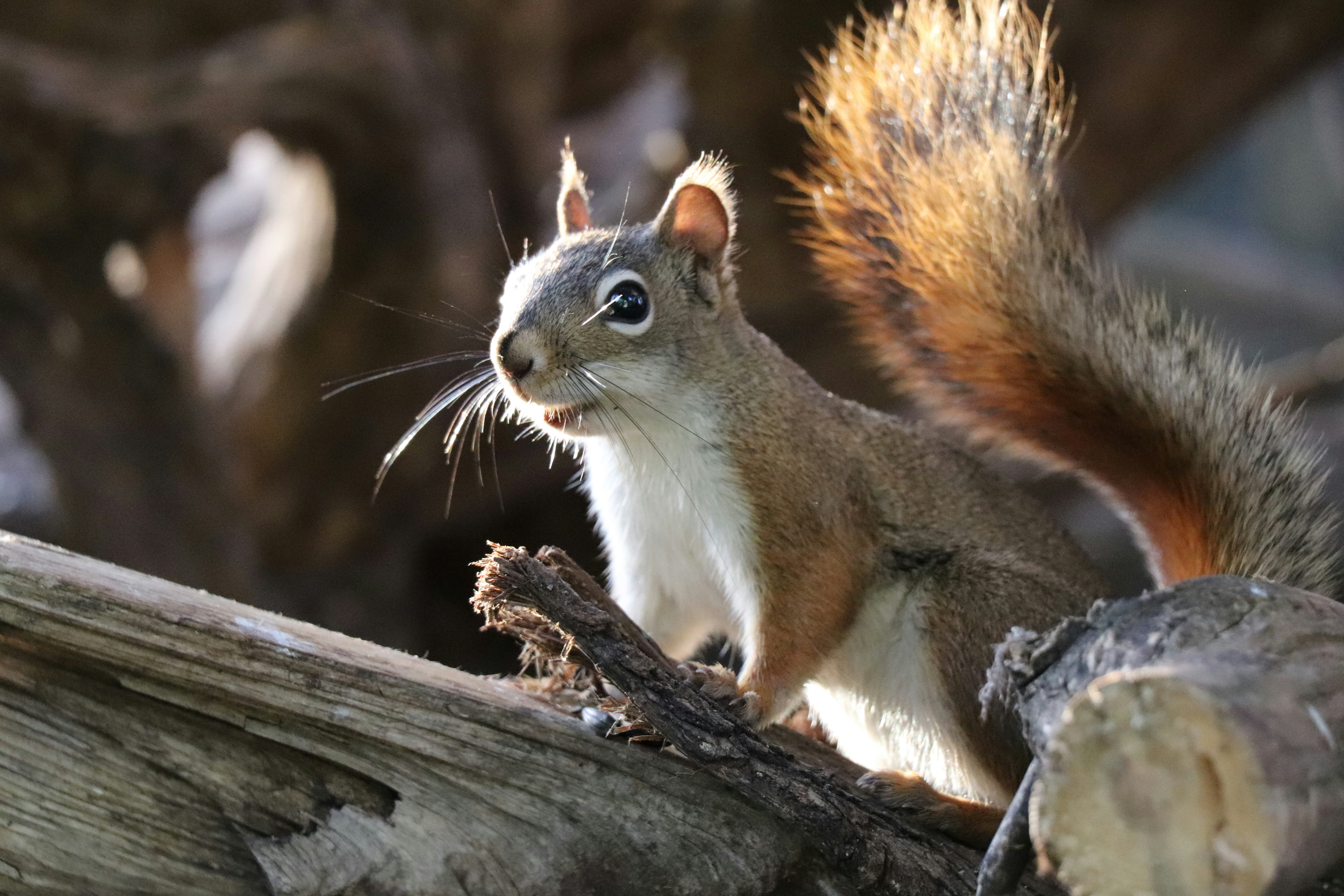 Photo by sandimagerart