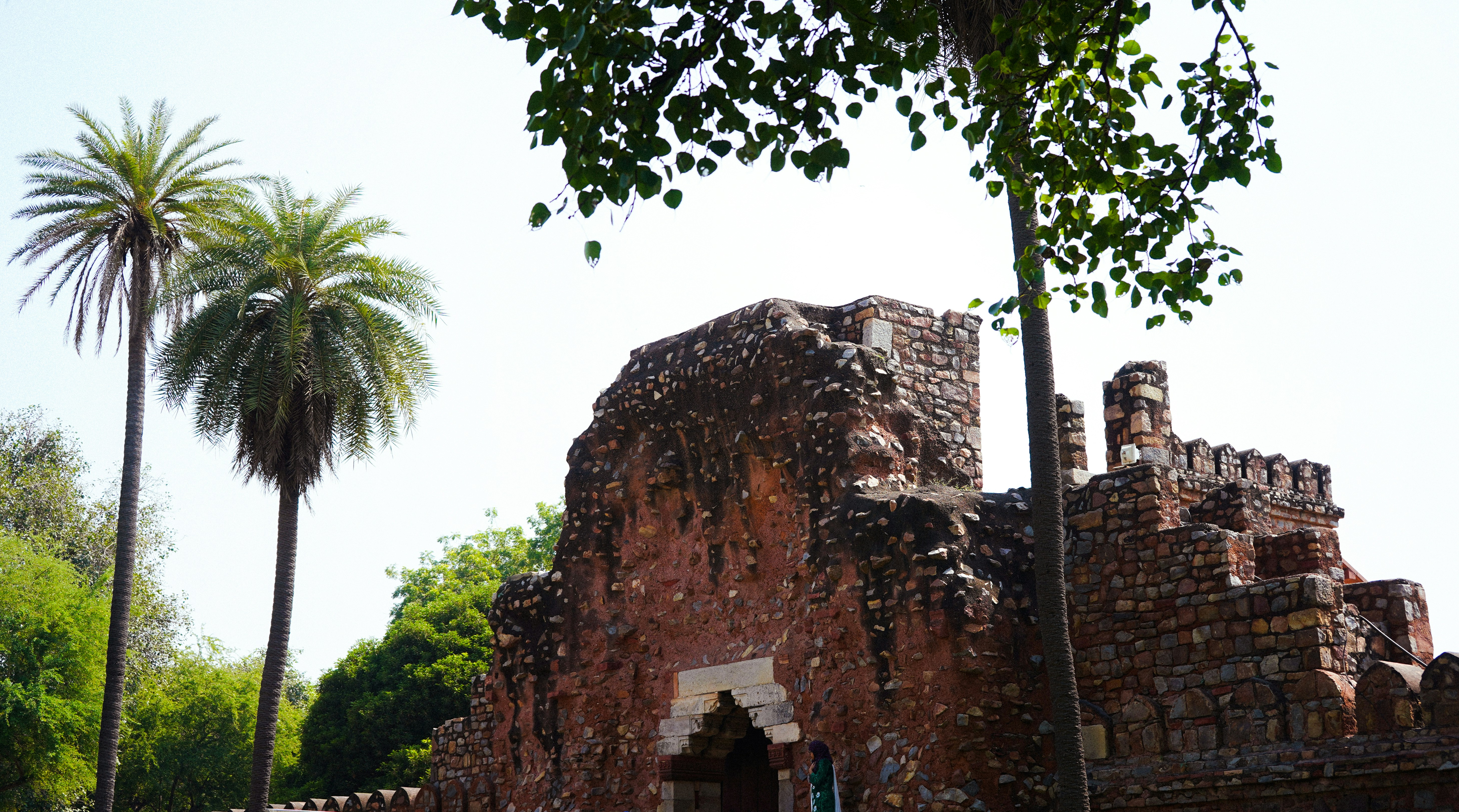 A very old building with a tree in front of it