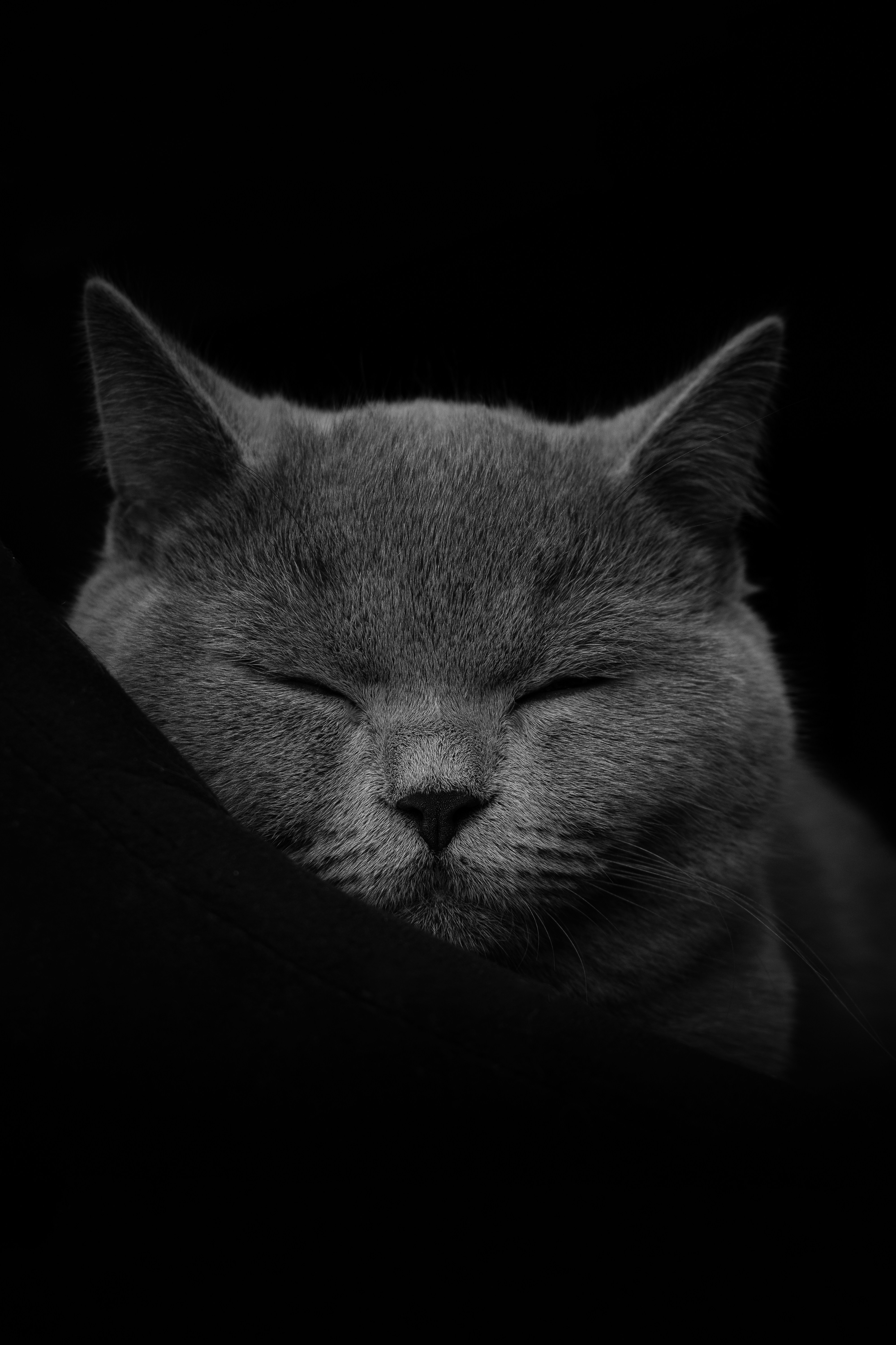 U.S. Power Over Tether’s Future: CEO Paolo Ardoino’s Insight on Compliance, Transparency, and Market Positioning