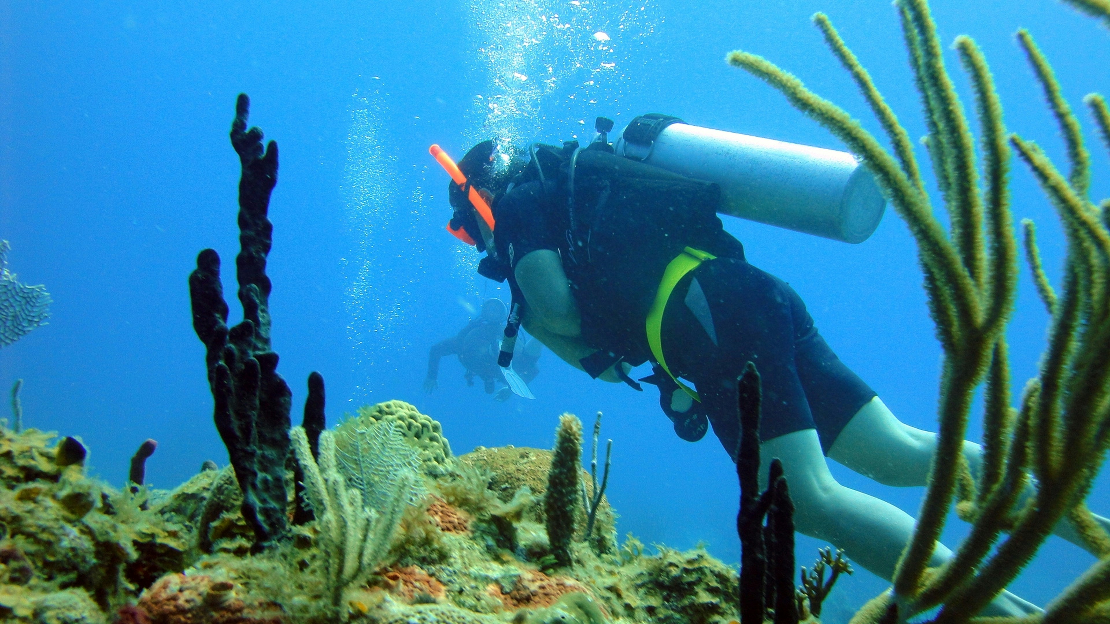 Scuba diver descending through crystal-clear tropical water surrounded by vibrant coral reef