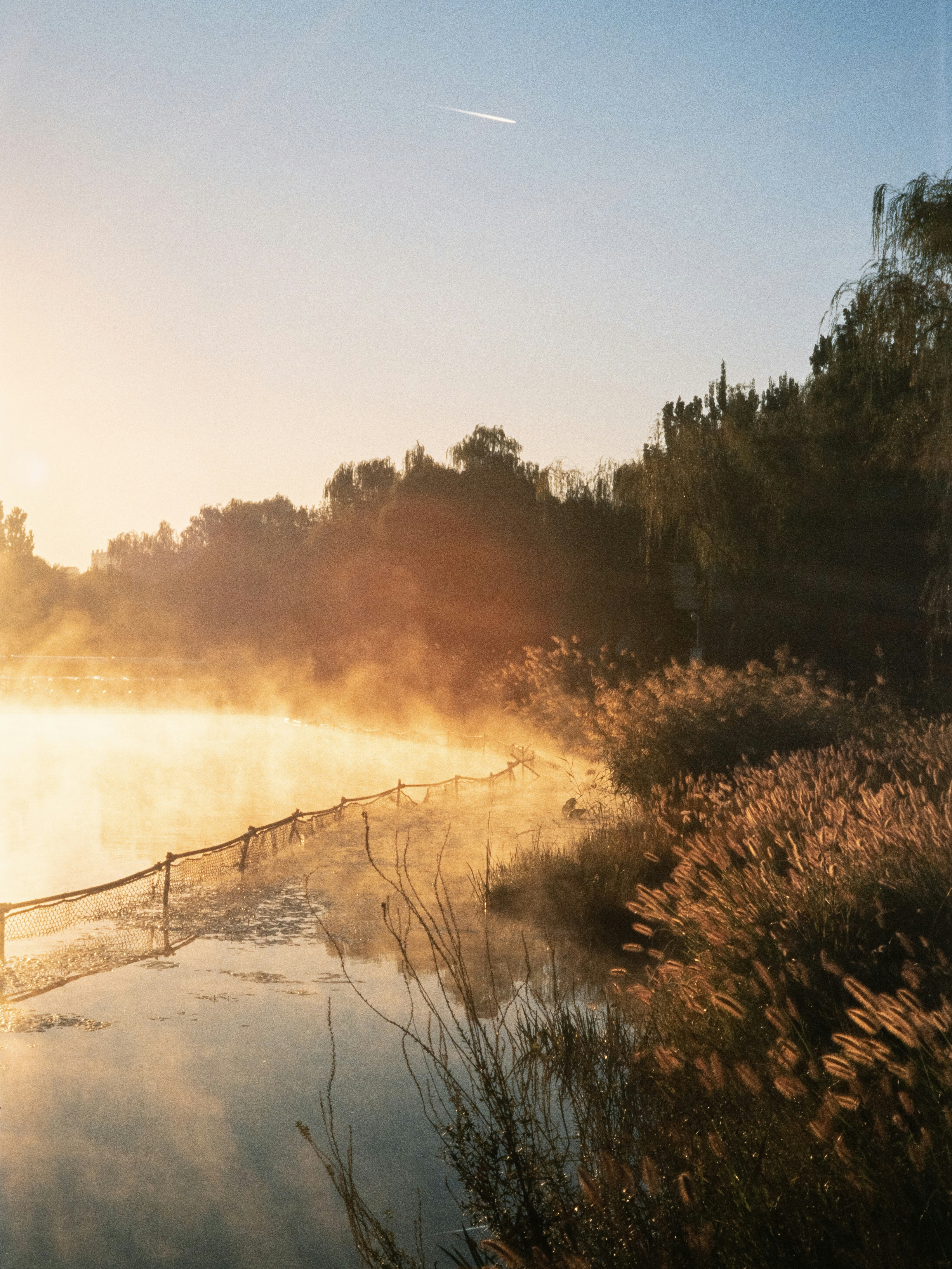 A body of water surrounded by grass and trees