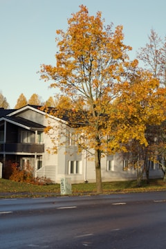 An apartment building with trees in front of it