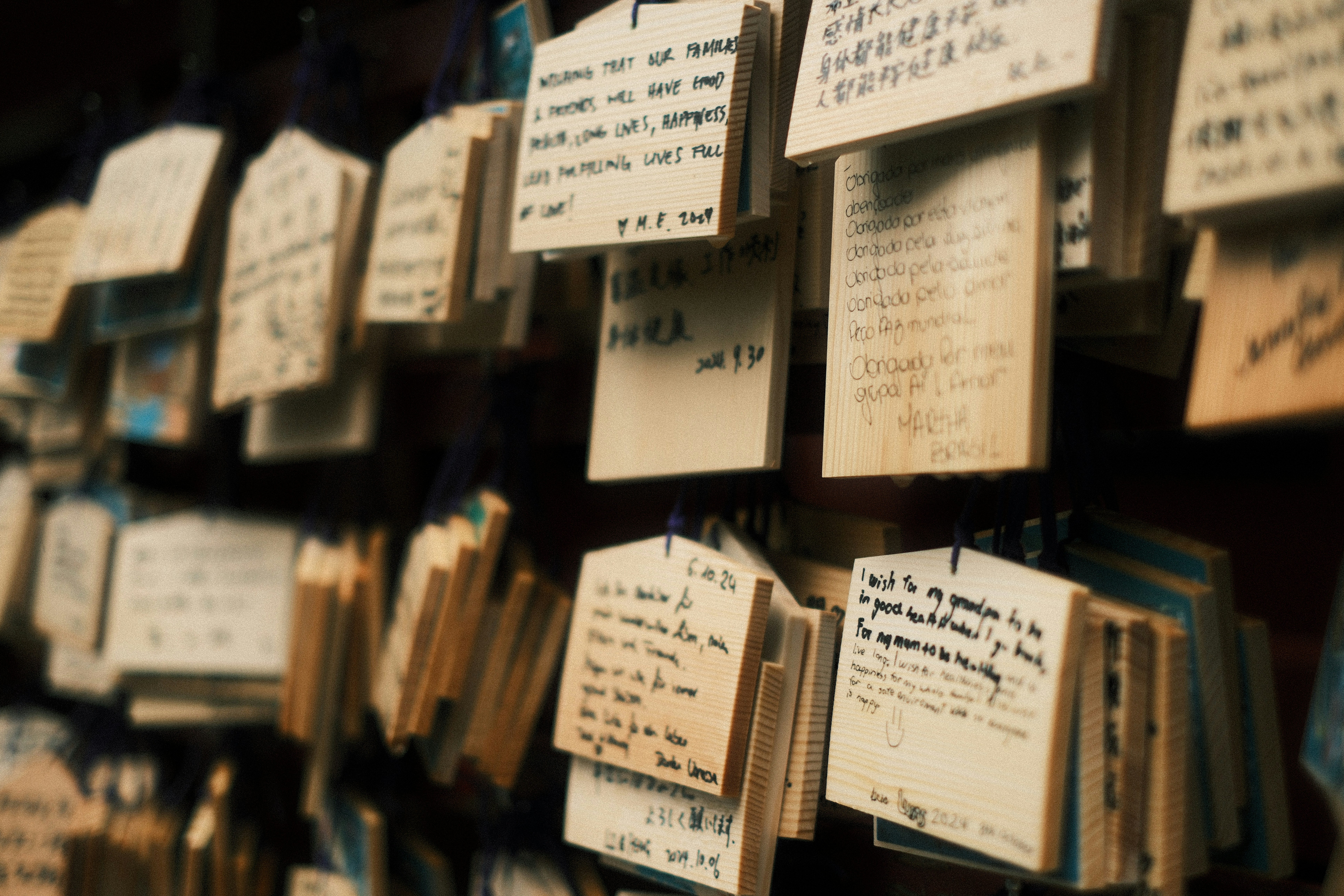 Photo by leo_gilgamesh