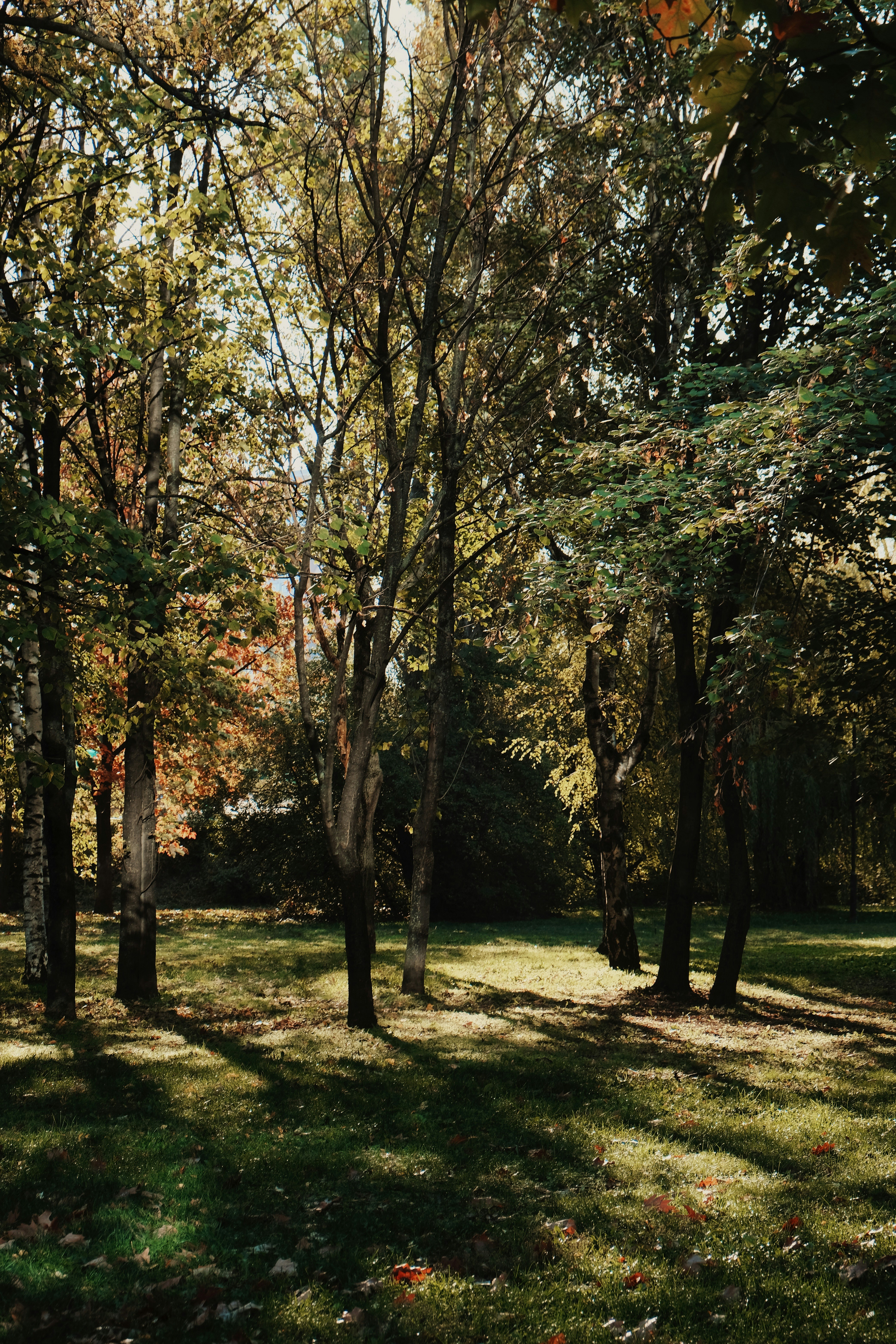 Photo by kodaky_lover