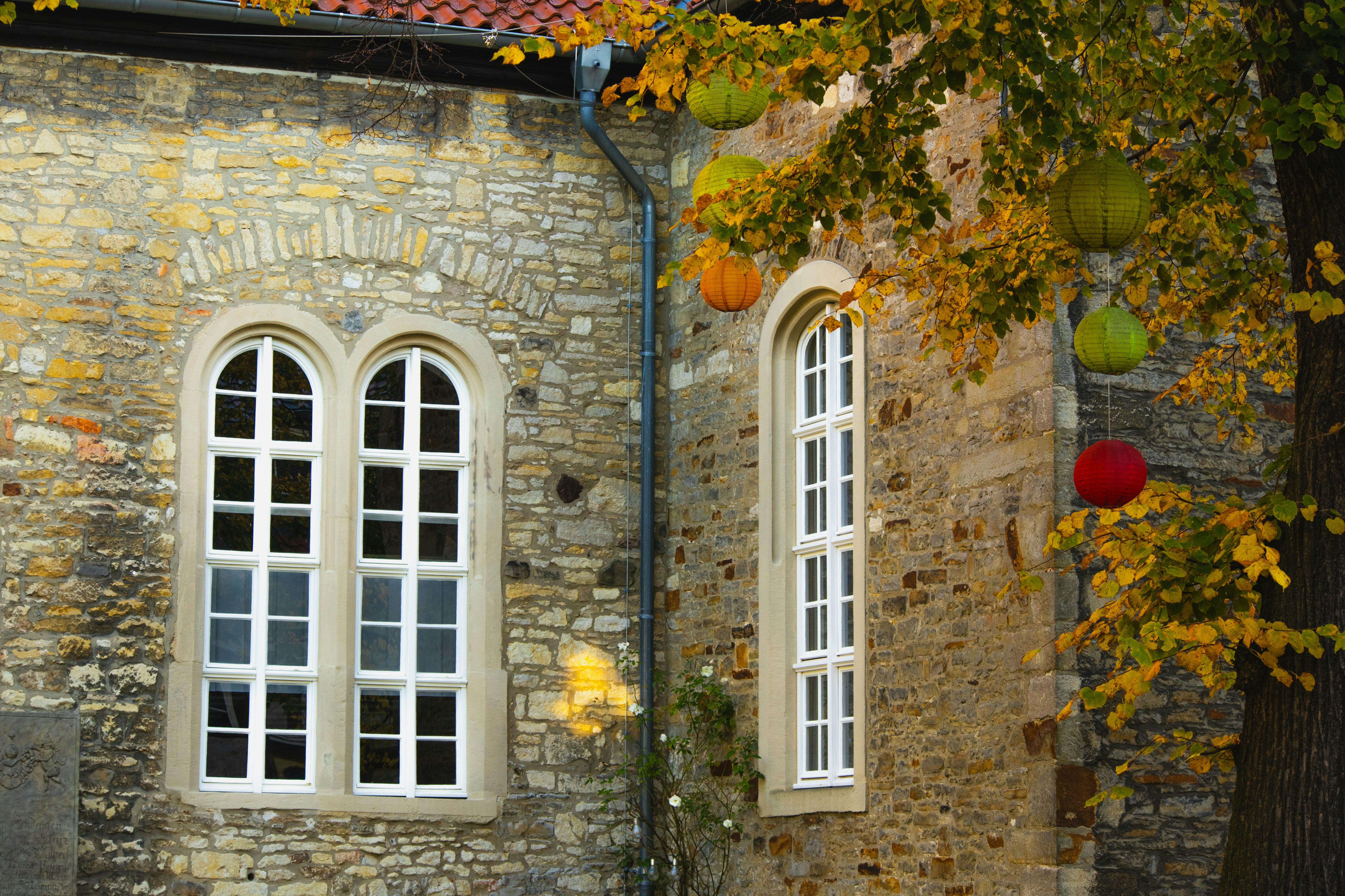 Photo by marko_lengyel