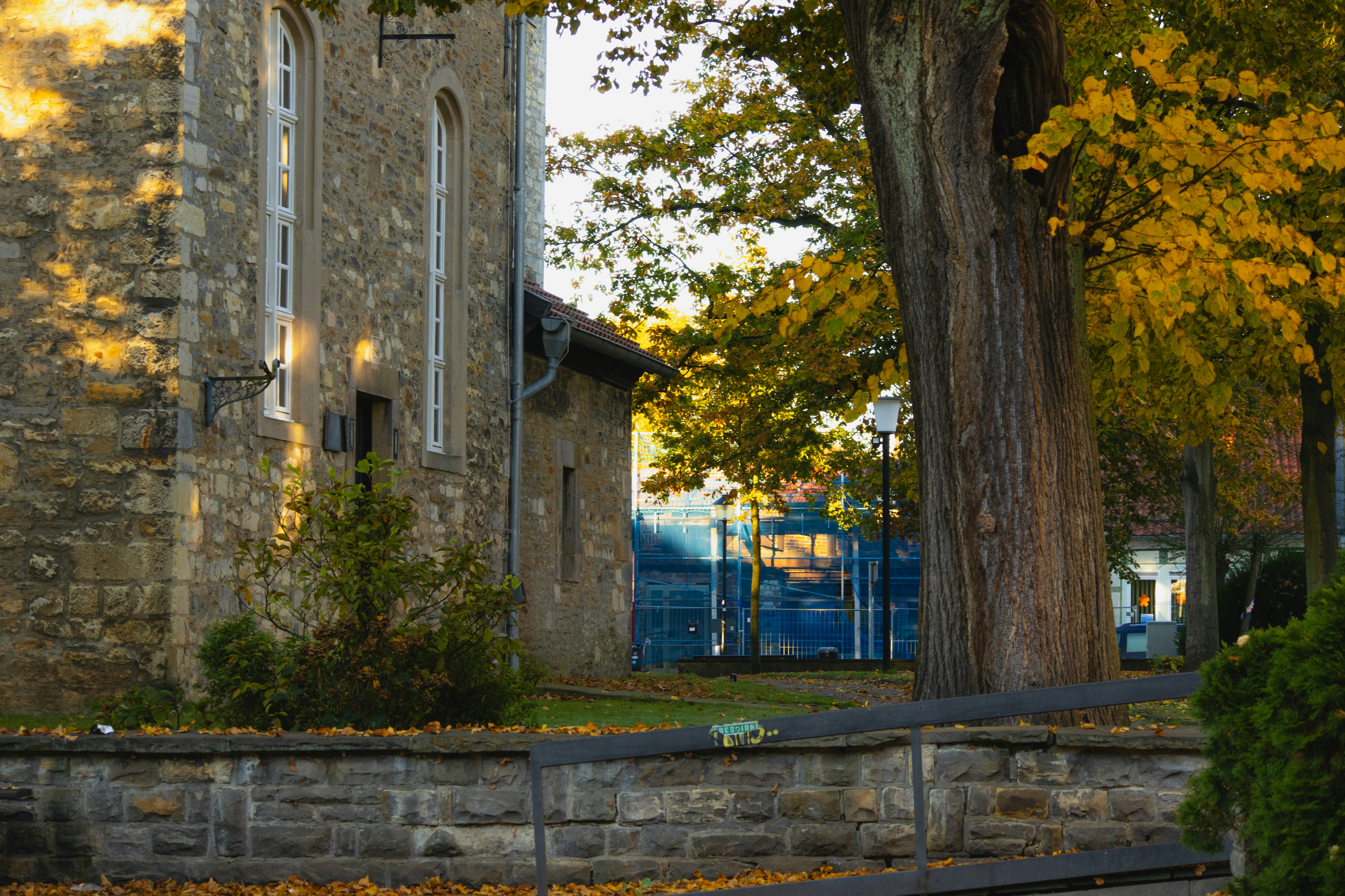 Photo by marko_lengyel