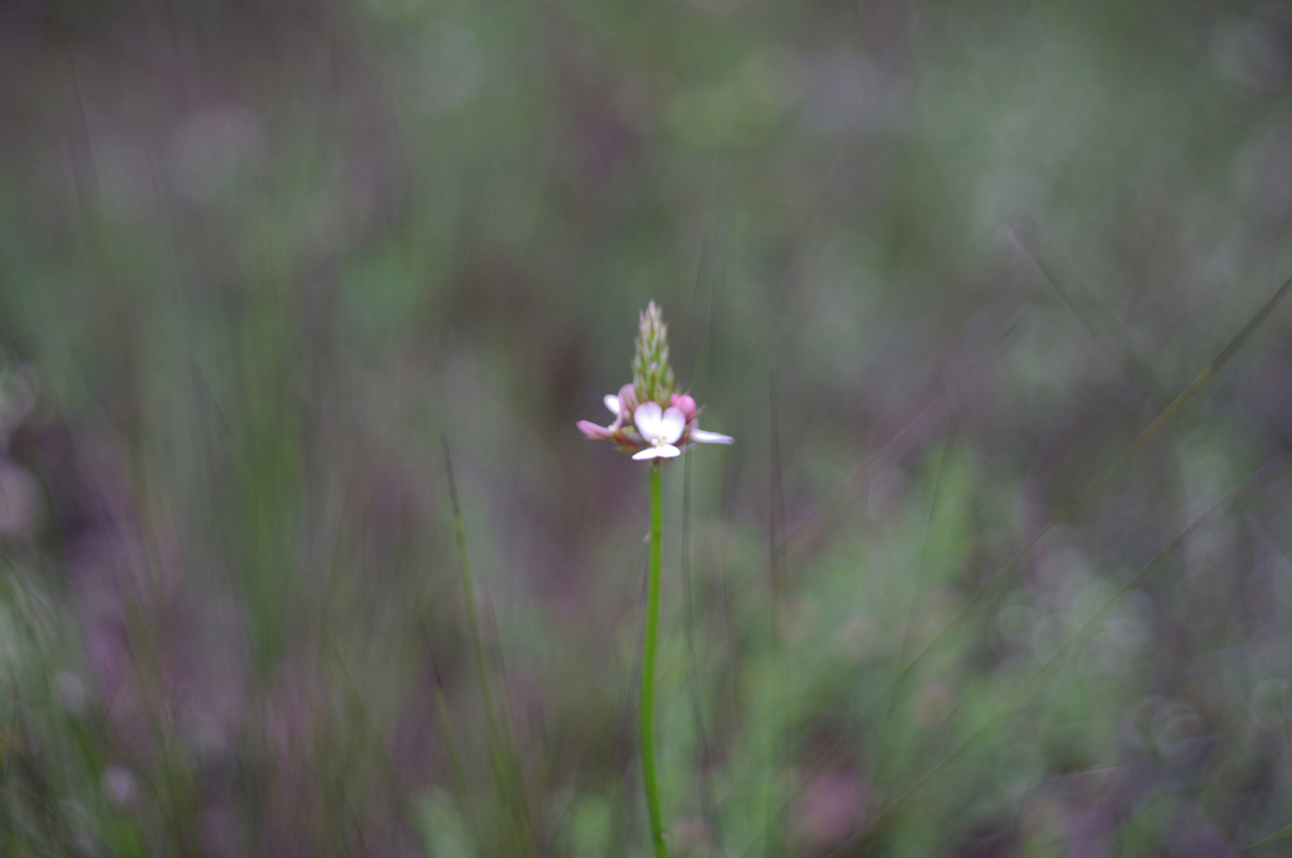 Photo by photoken123